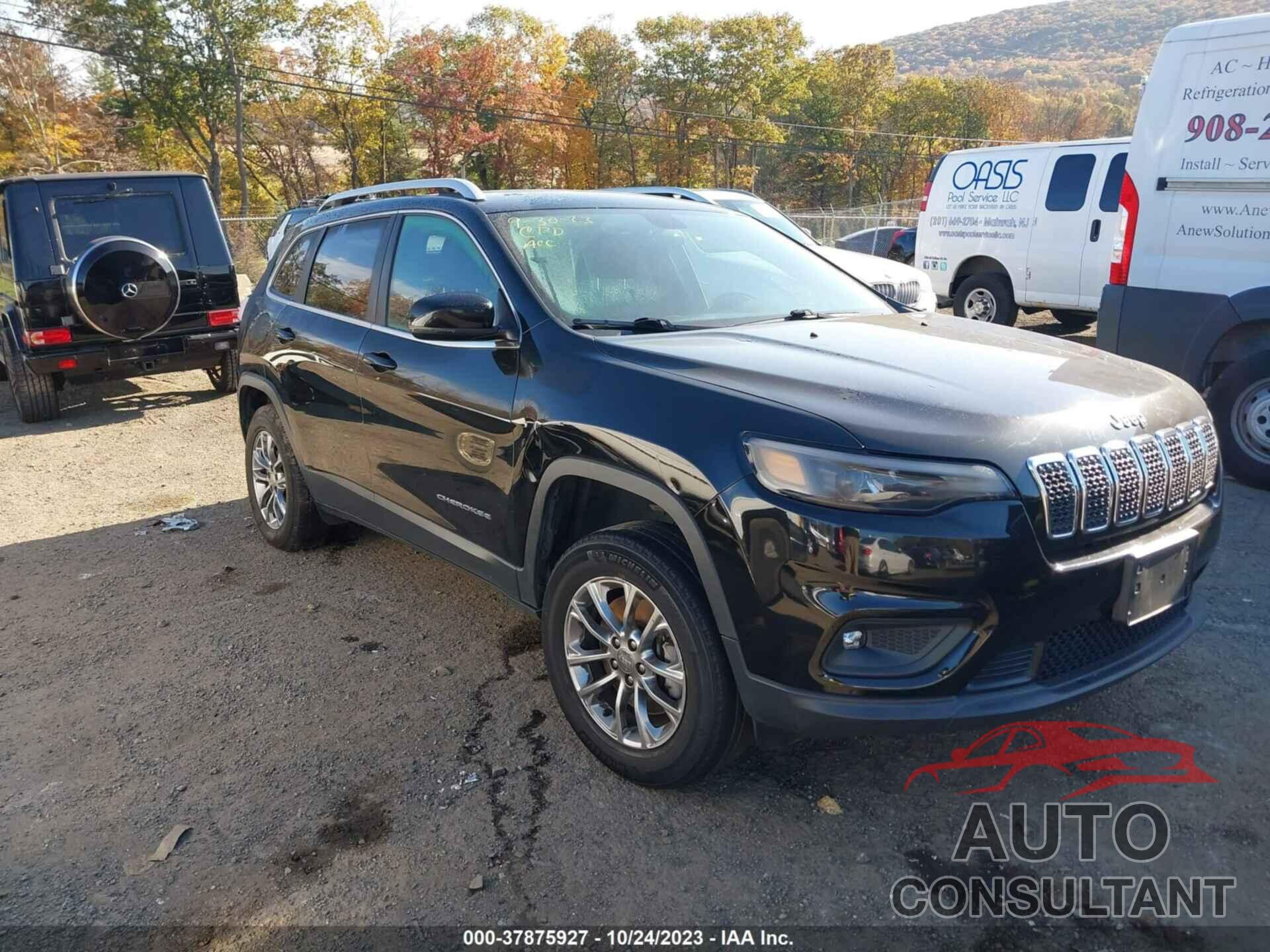 JEEP CHEROKEE 2019 - 1C4PJMLB8KD342985