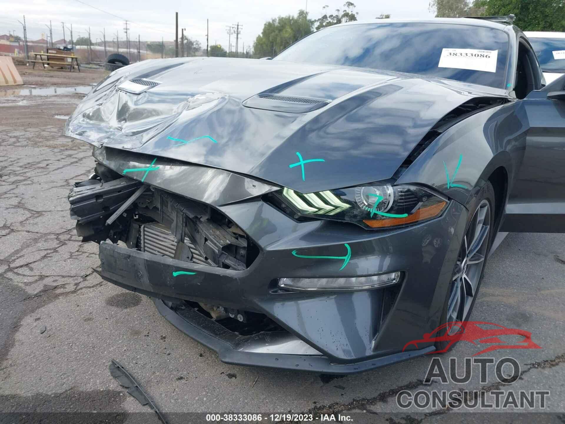 FORD MUSTANG 2019 - 1FA6P8TH1K5175519