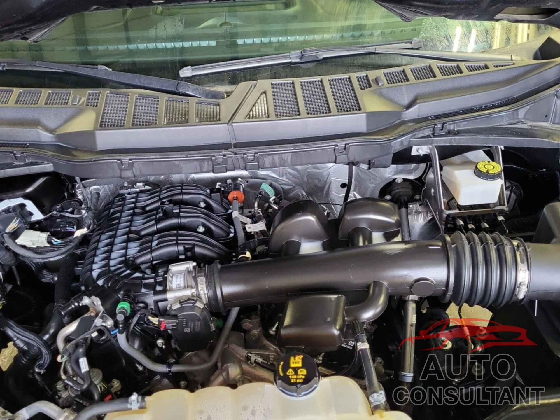 FORD F-150 2021 - 1FTMF1CB4MKF01082