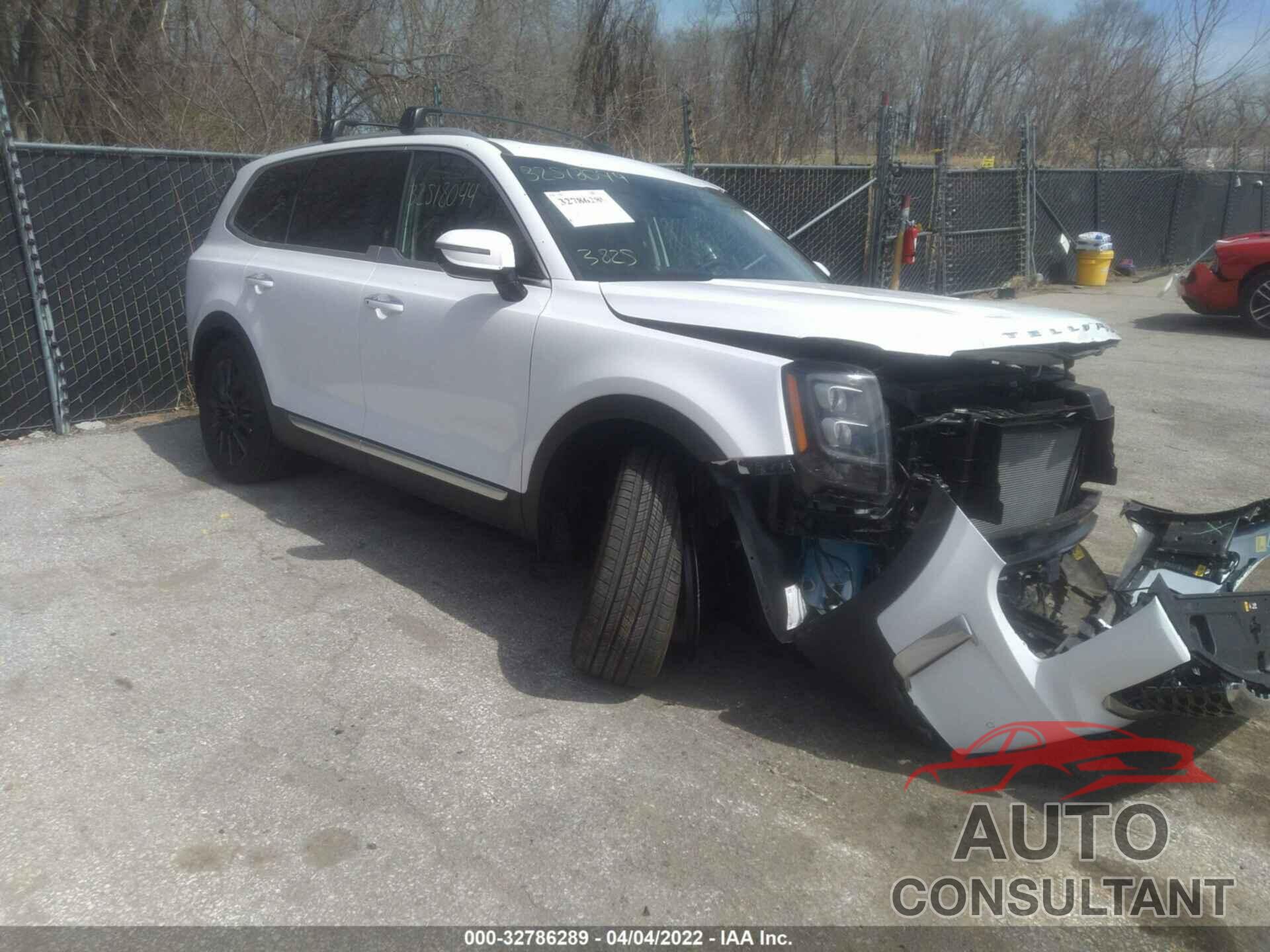 KIA TELLURIDE 2022 - 5XYP5DHC1NG233442