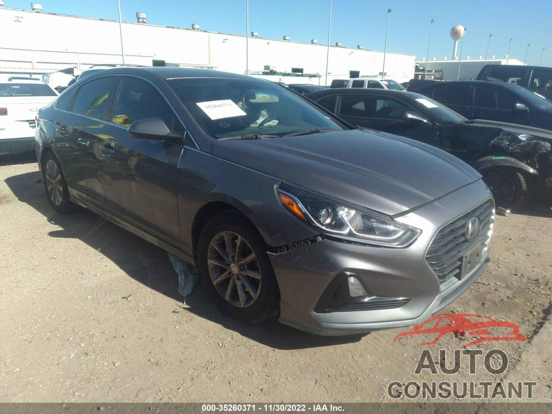 HYUNDAI SONATA 2019 - 5NPE24AFXKH762381