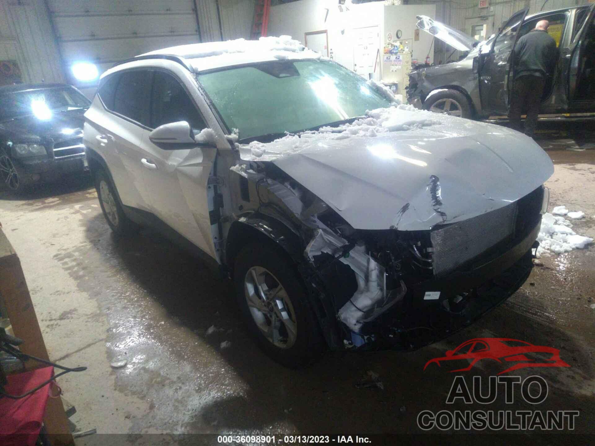 HYUNDAI TUCSON 2022 - 5NMJBCAE5NH145617
