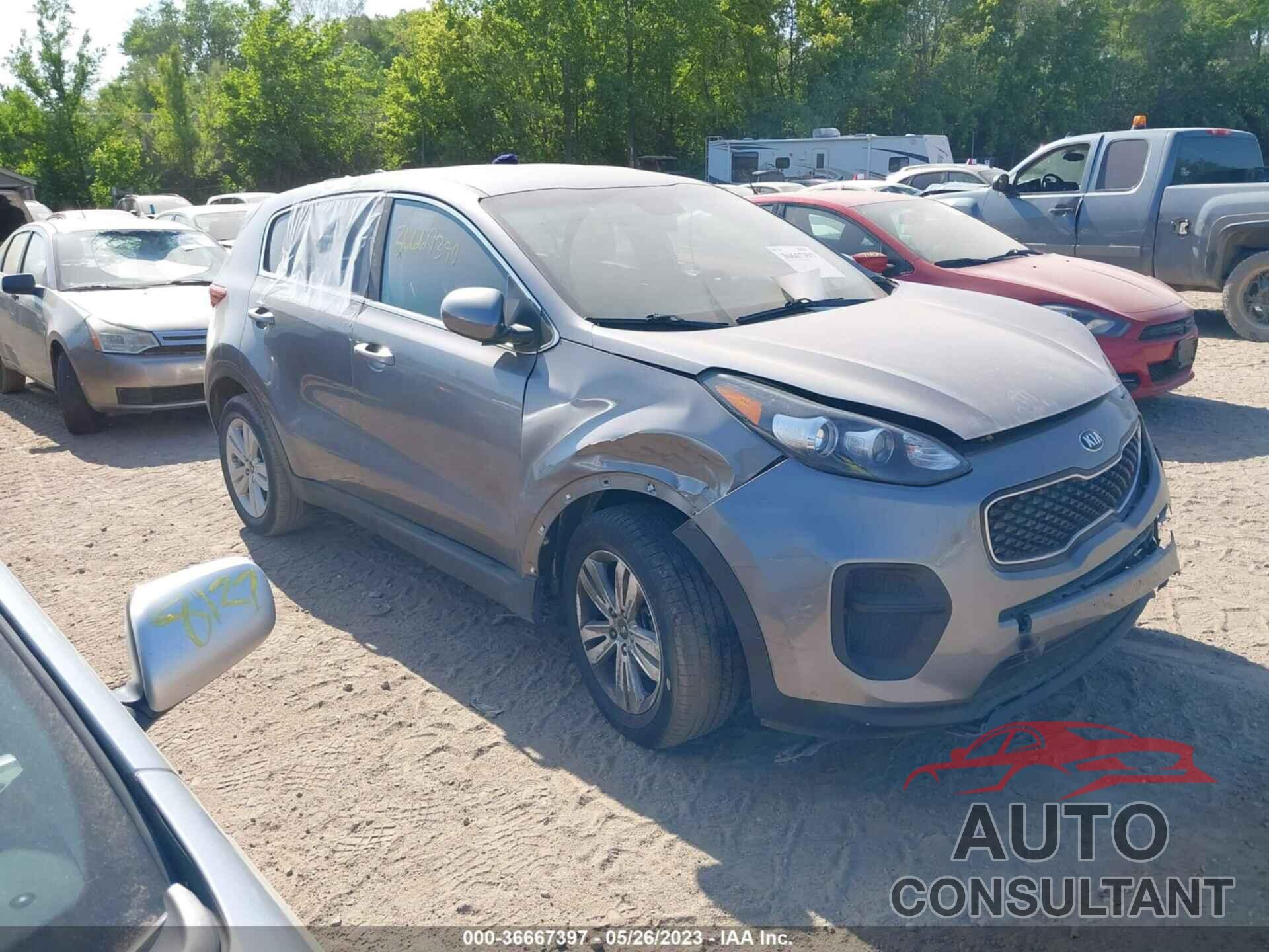 KIA SPORTAGE 2019 - KNDPM3AC1K7513202