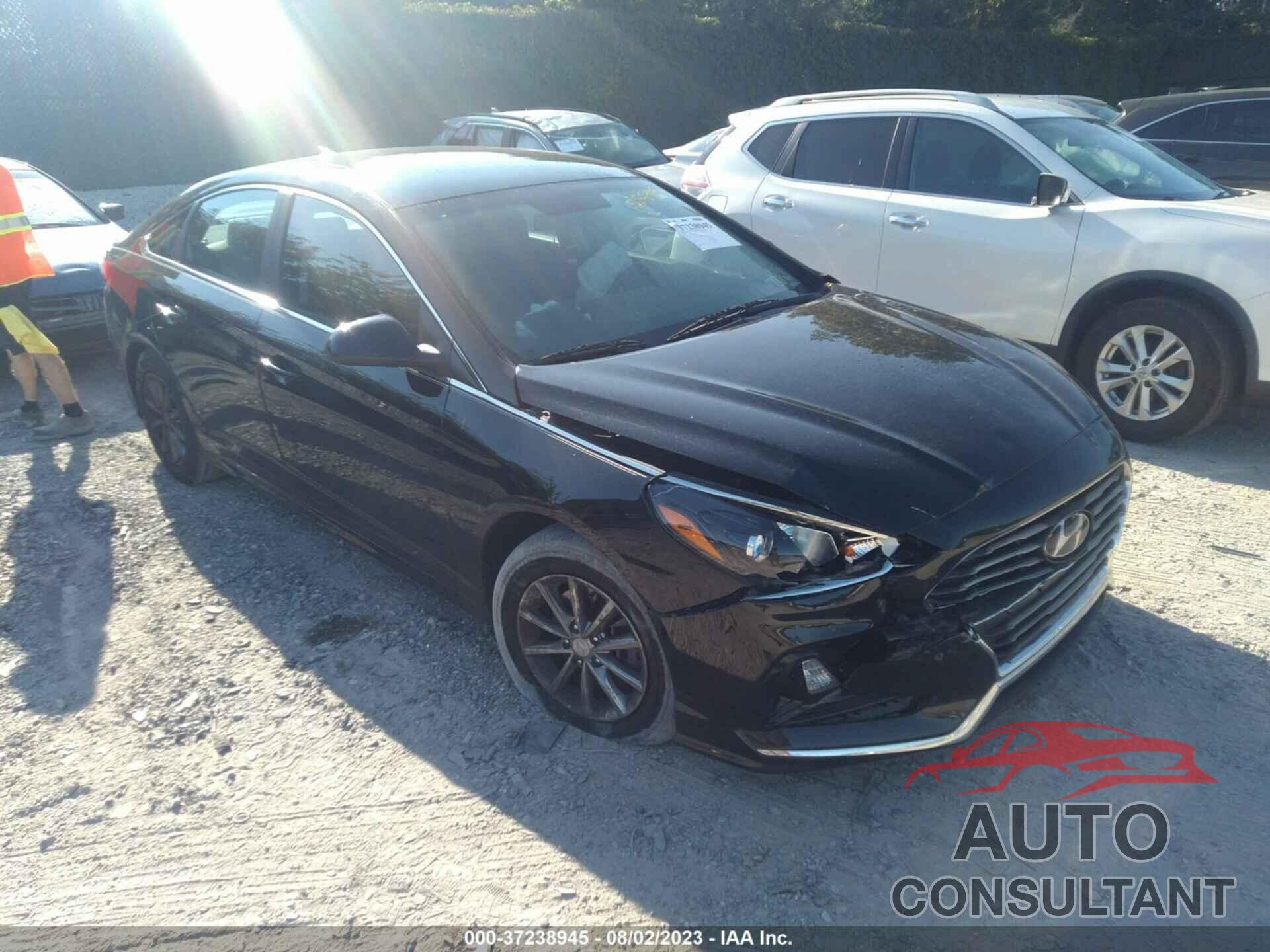 HYUNDAI SONATA 2019 - 5NPE24AFXKH769945