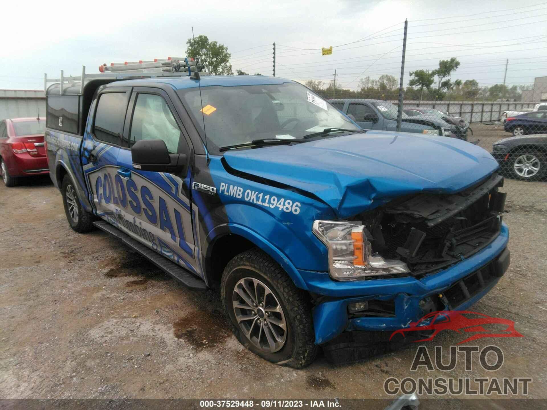 FORD F-150 2019 - 1FTEW1EP3KFB02313