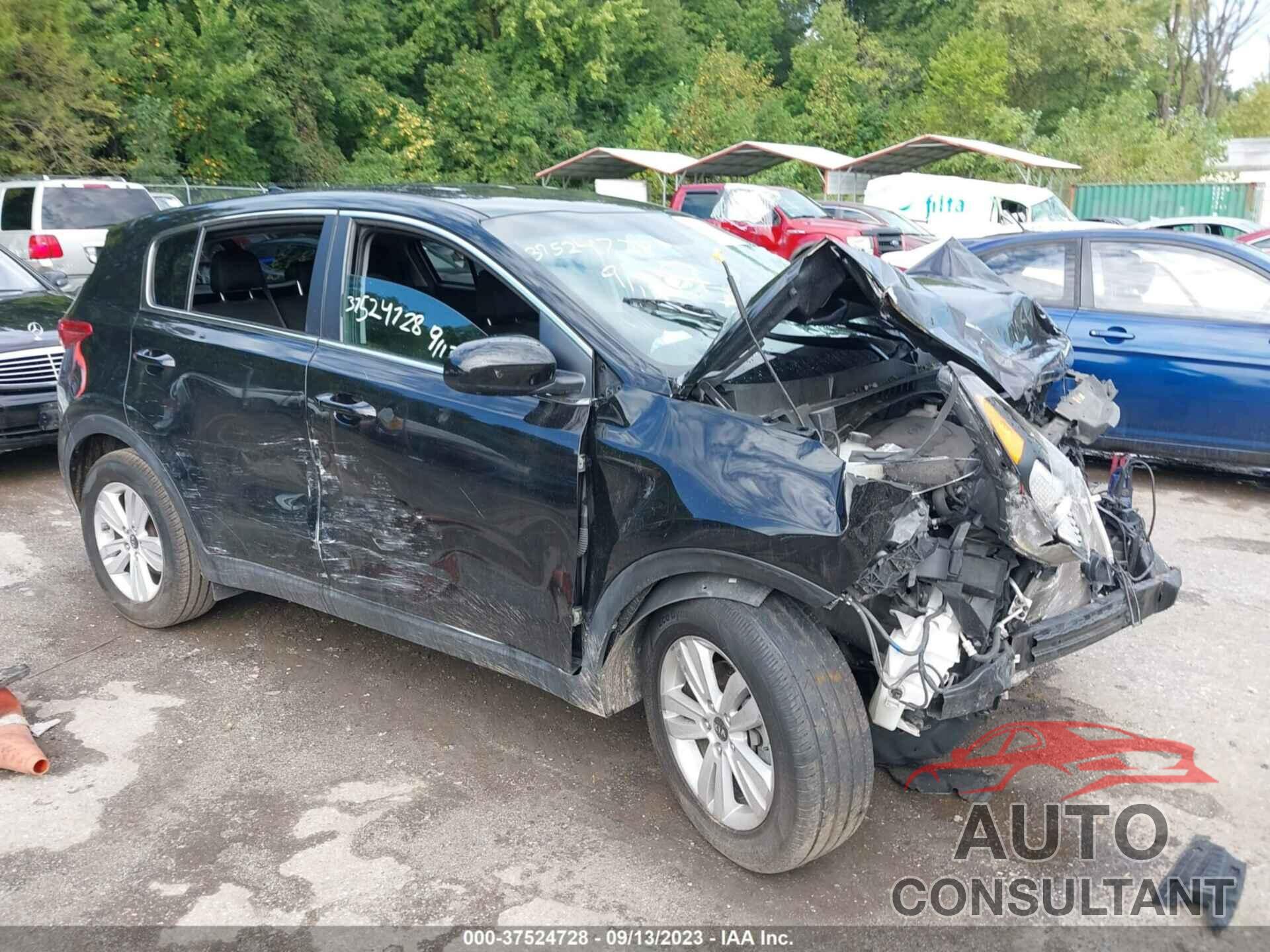 KIA SPORTAGE 2019 - KNDPM3AC2K7504105