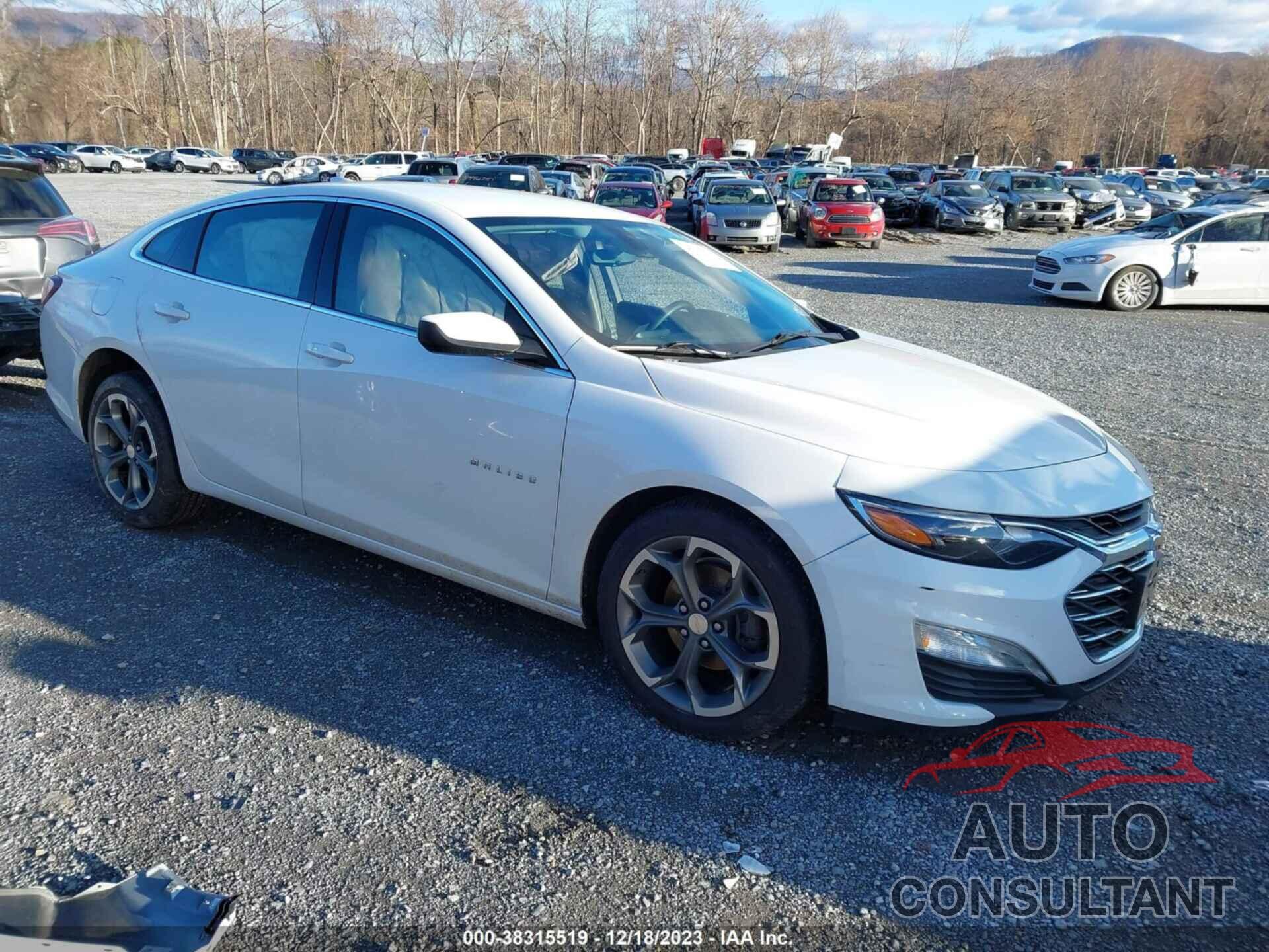 CHEVROLET MALIBU 2021 - 1G1ZD5ST7MF008320