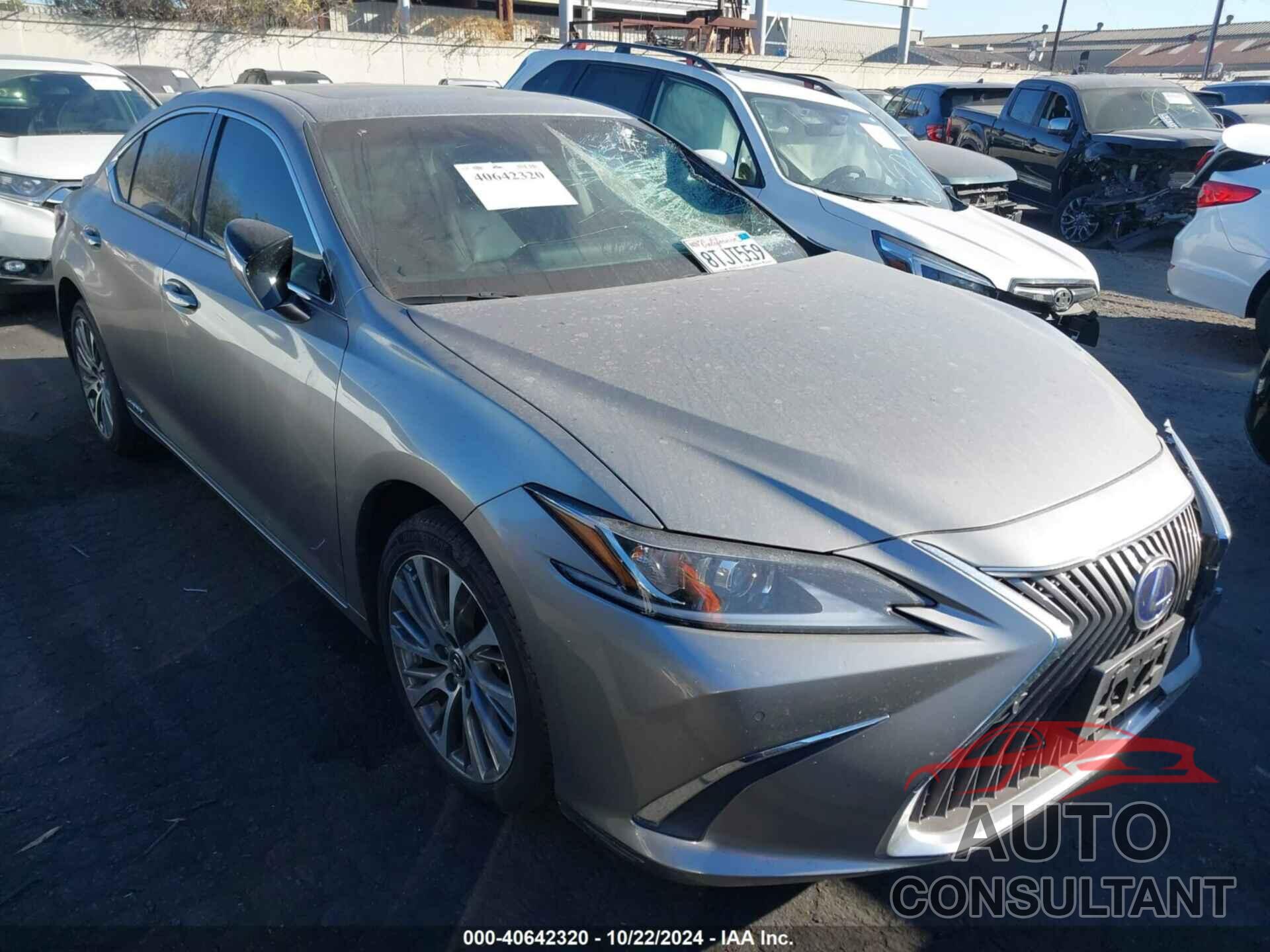 LEXUS ES 300H 2021 - 58ADA1C12MU001260