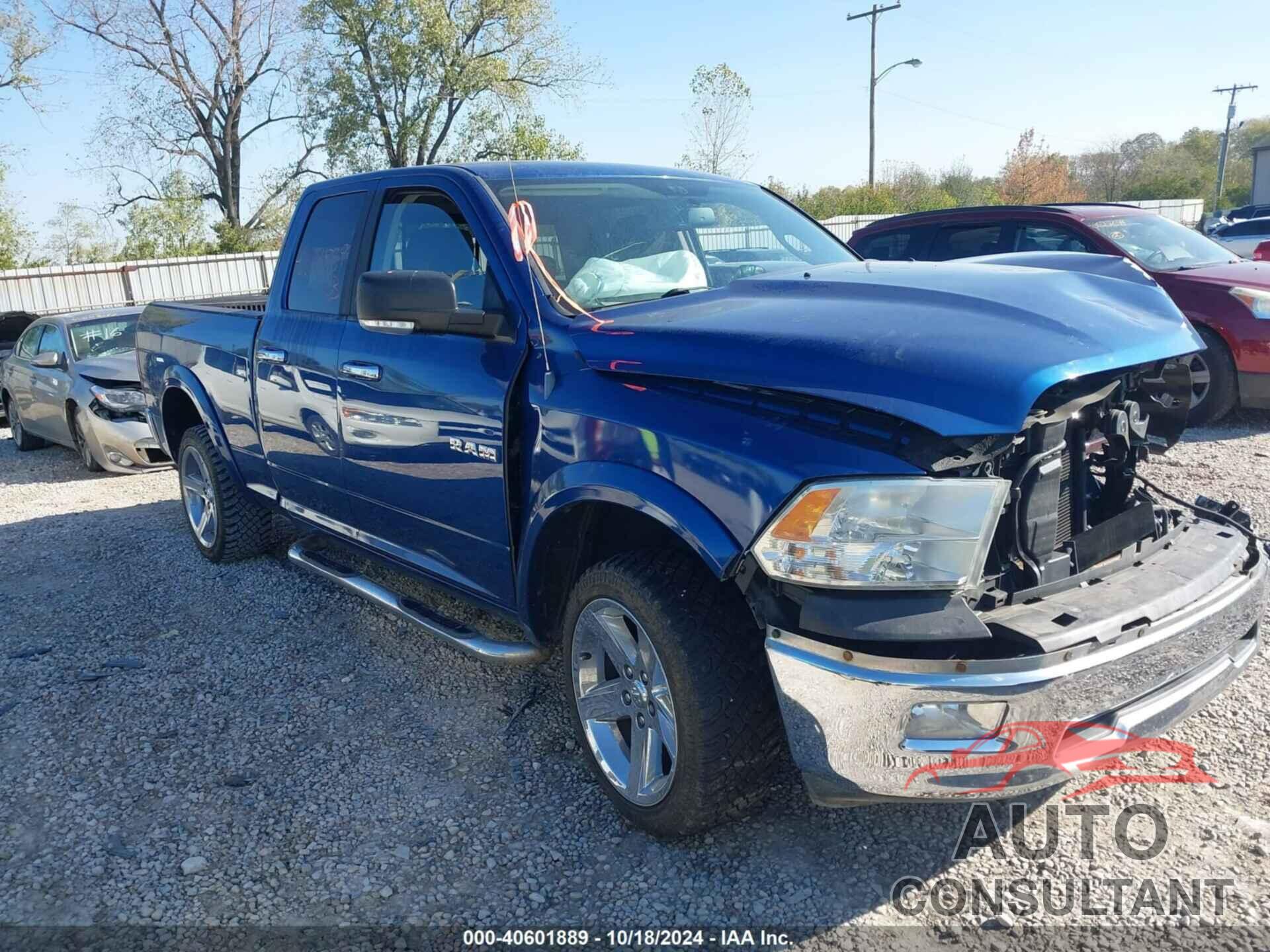 DODGE RAM 1500 2010 - 1D7RV1GP9AS160875