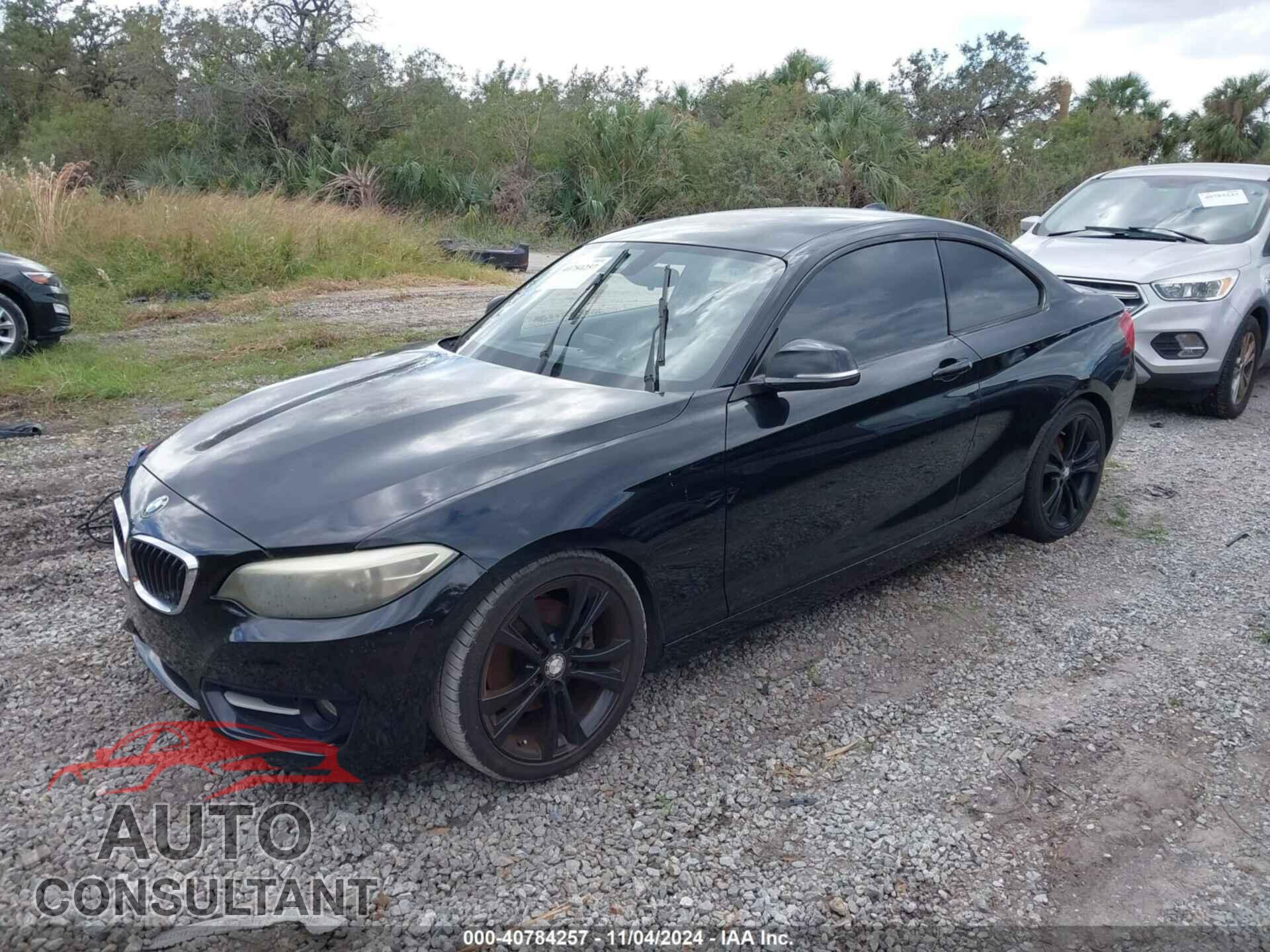 BMW 228I 2014 - WBA1F5C50EVV99352