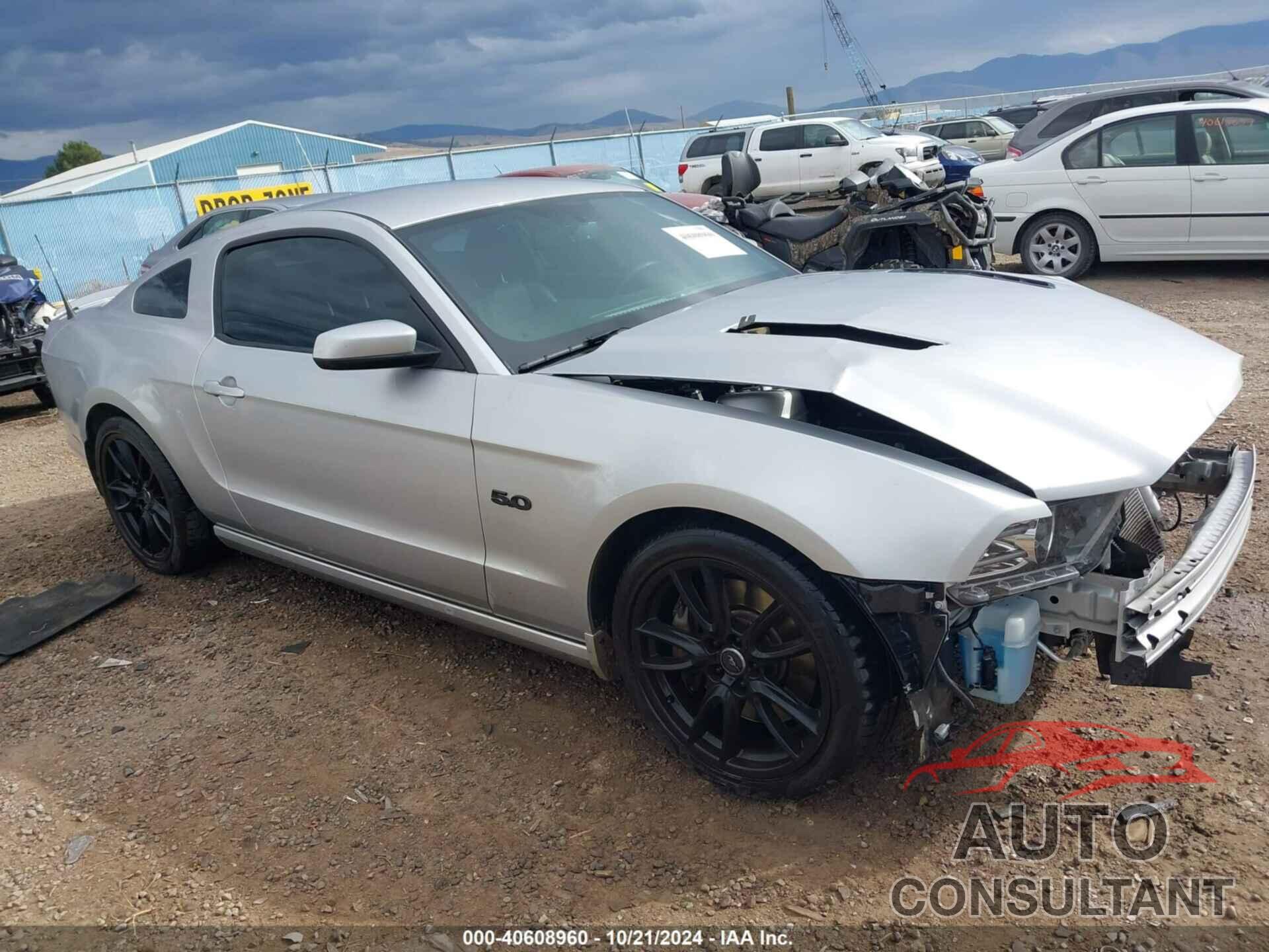 FORD MUSTANG 2014 - 1ZVBP8CF2E5228933