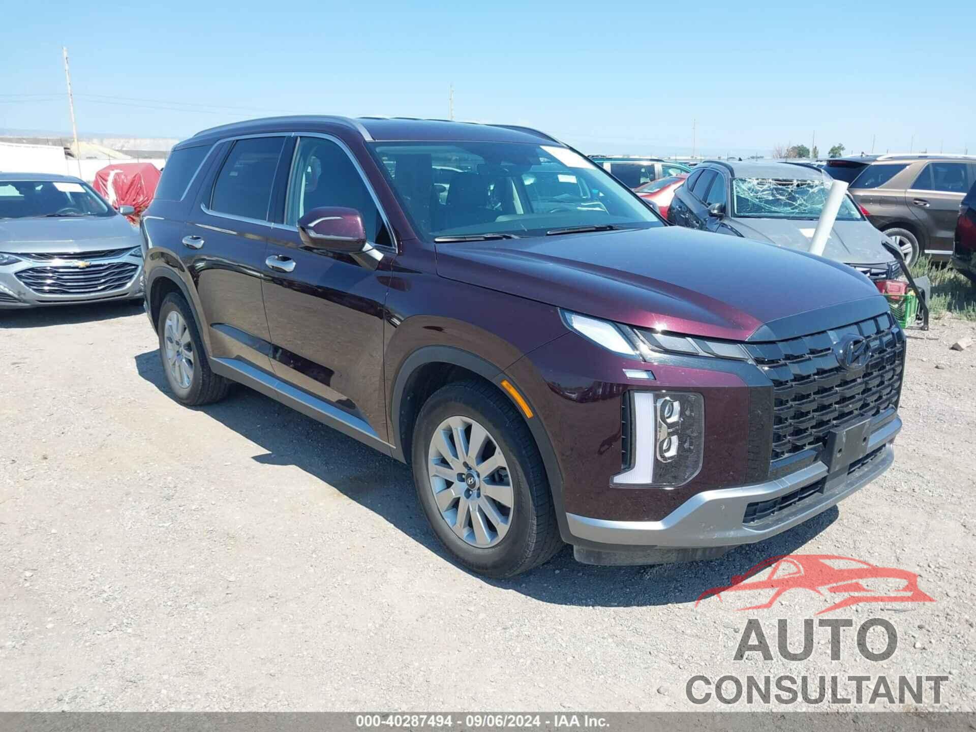 HYUNDAI PALISADE 2024 - KM8R2DGEXRU719235