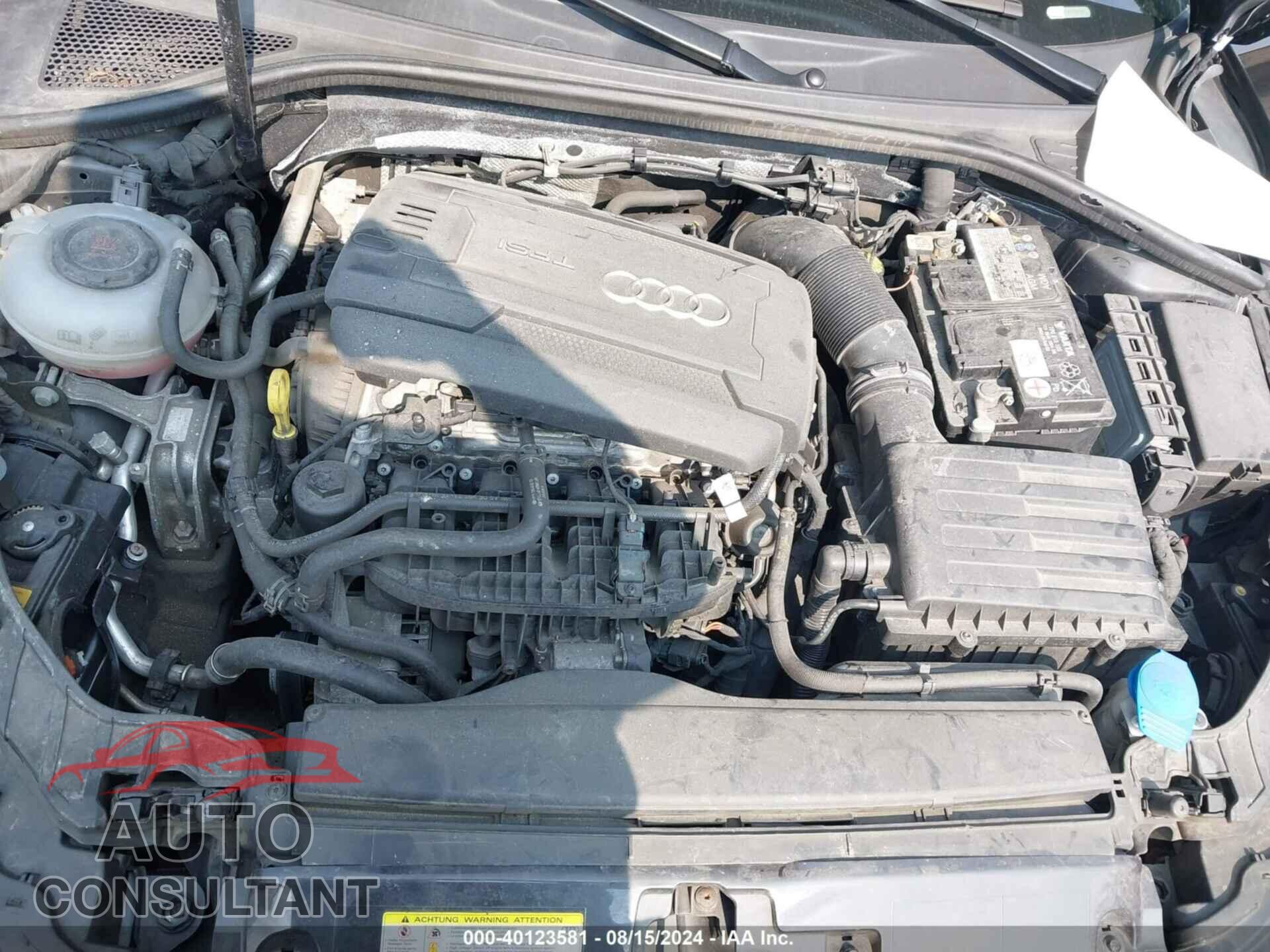 AUDI A3 2019 - WAUBEGFF7K1018228