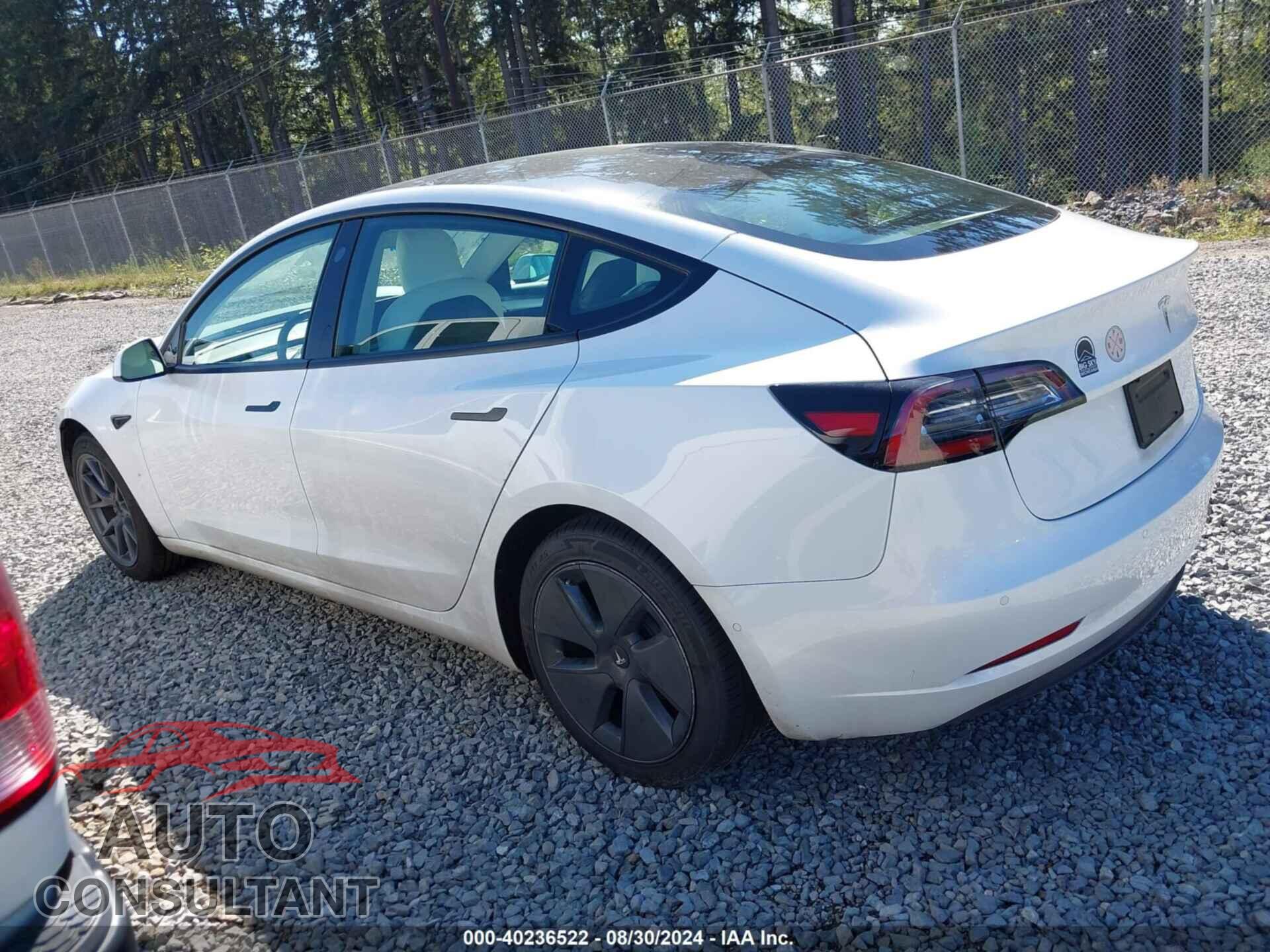 TESLA MODEL 3 2021 - 5YJ3E1EA3MF084506