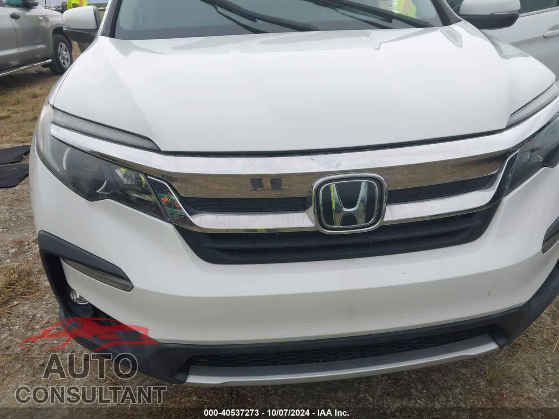 HONDA PILOT 2021 - 5FNYF5H52MB003326