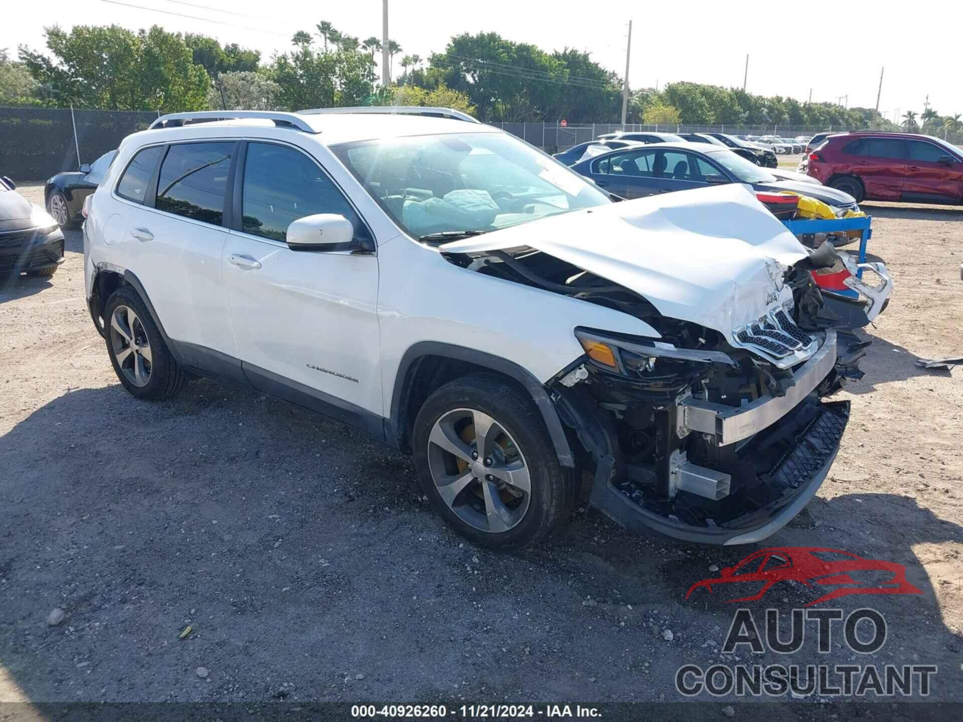 JEEP CHEROKEE 2019 - 1C4PJLDB0KD325249