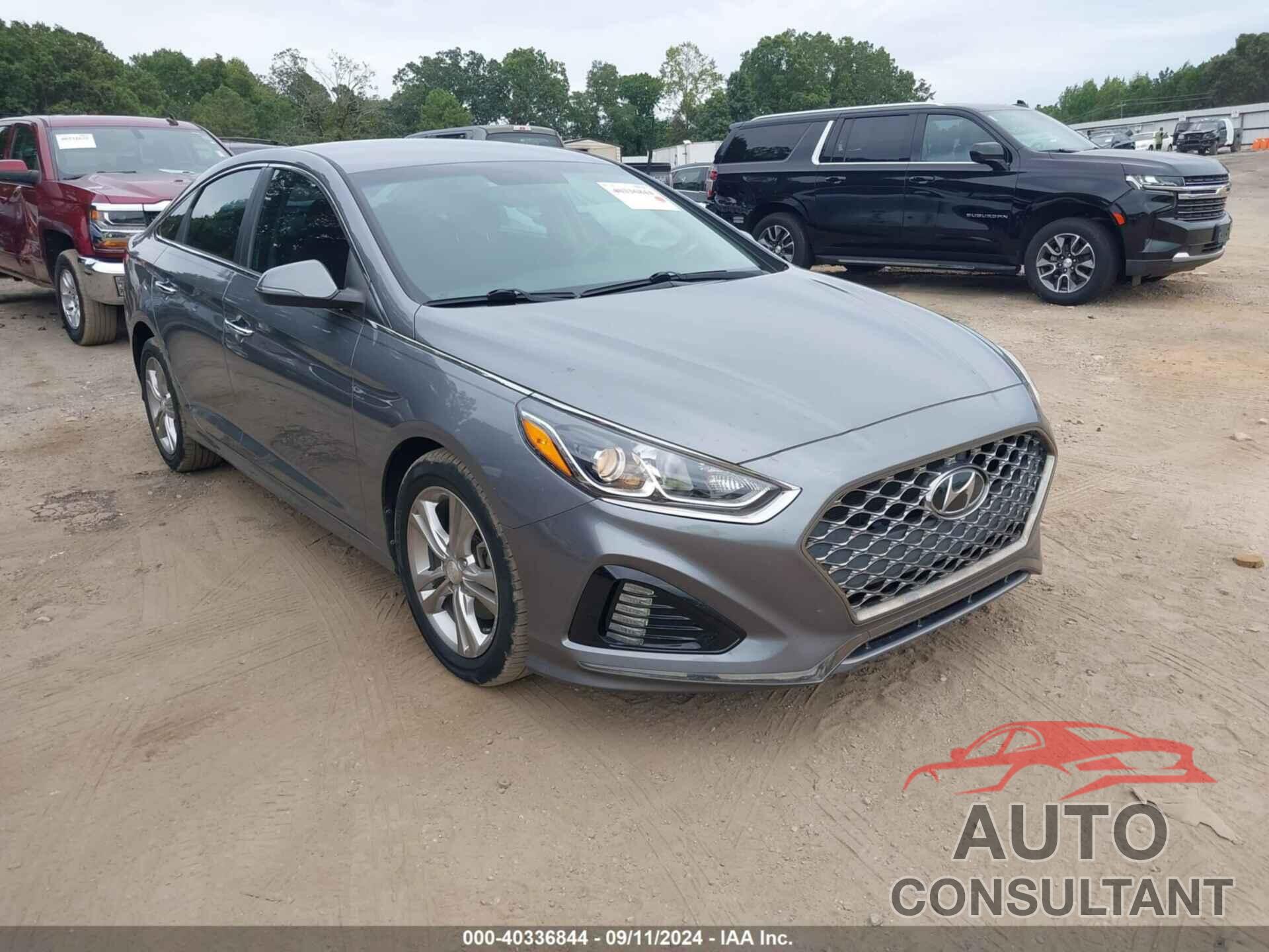 HYUNDAI SONATA 2019 - 5NPE34AF2KH765336