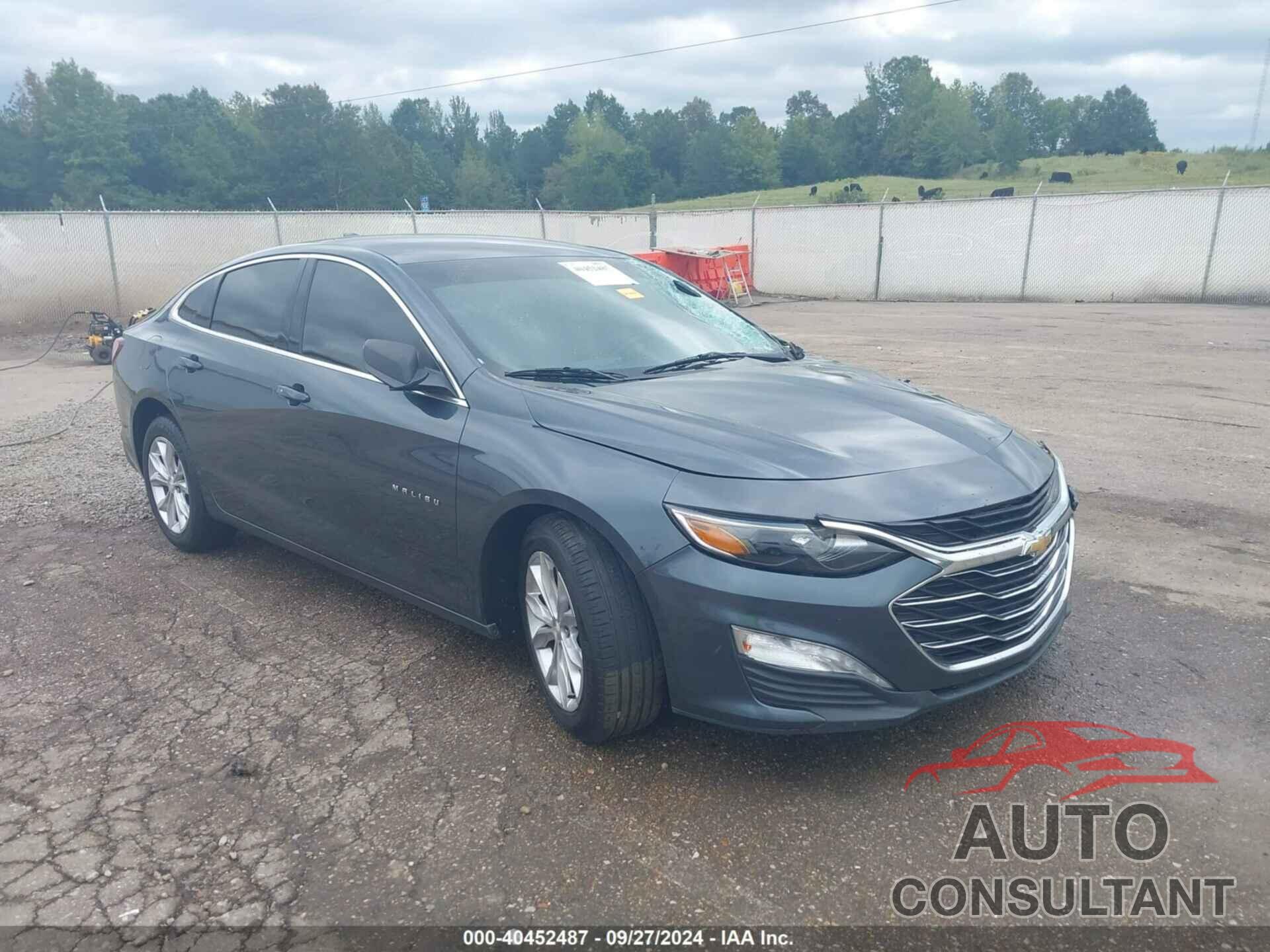 CHEVROLET MALIBU 2019 - 1G1ZD5ST9KF165392