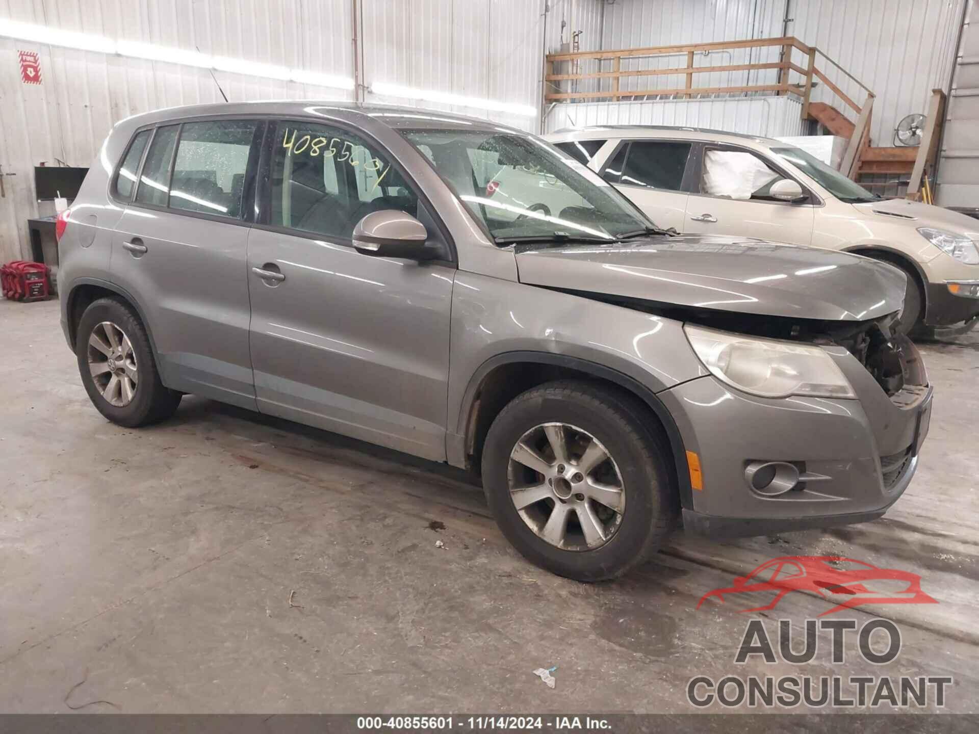 VOLKSWAGEN TIGUAN 2009 - WVGAV75N09W512981