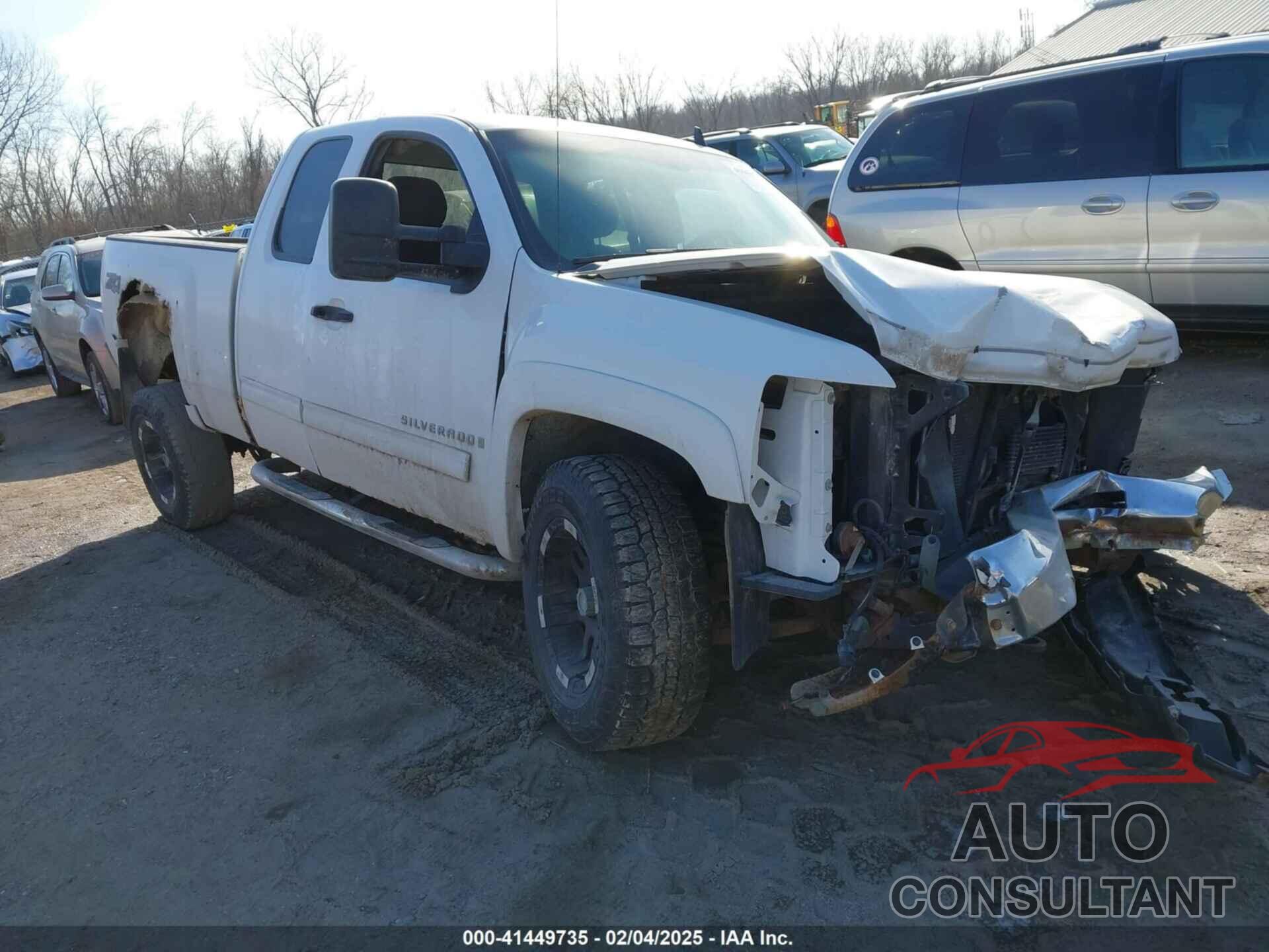 CHEVROLET SILVERADO 1500 2009 - 1GCEK29029Z141921