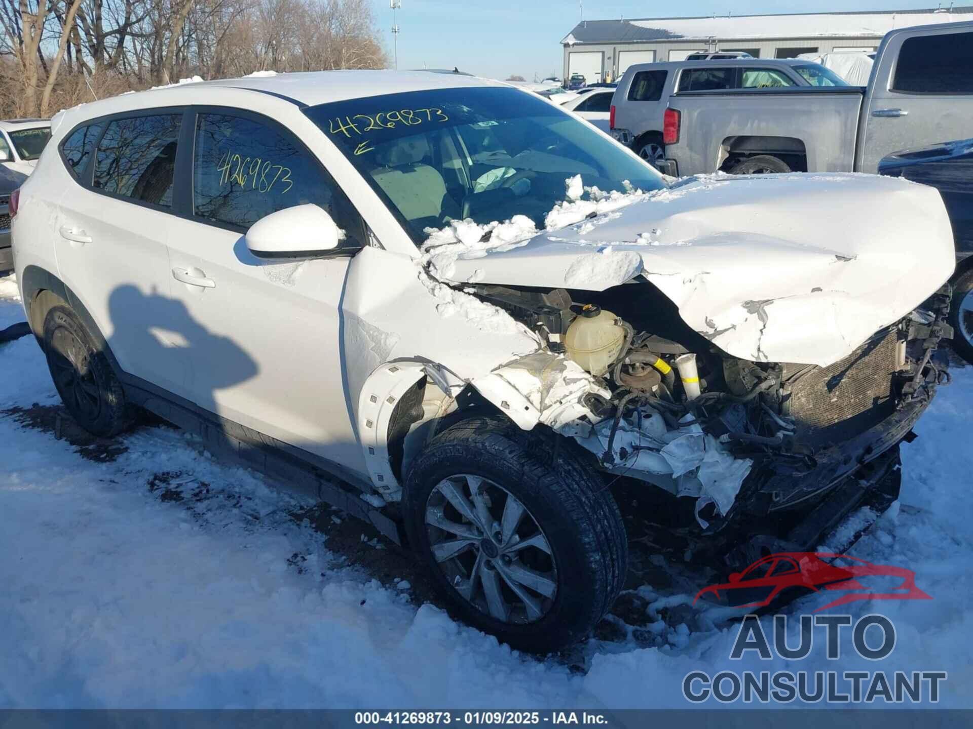 HYUNDAI TUCSON 2019 - KM8J2CA40KU852986