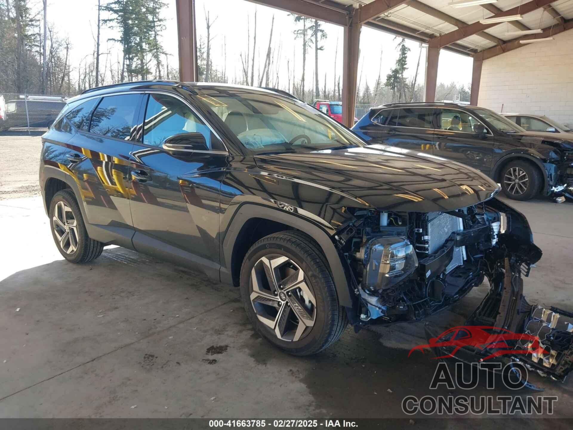 HYUNDAI TUCSON 2024 - 5NMJECDE4RH406826