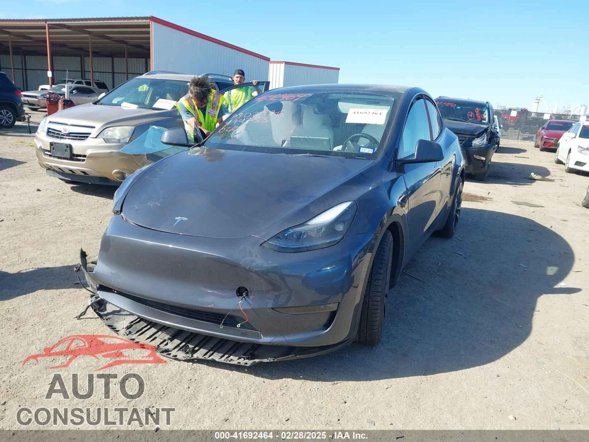 TESLA MODEL Y 2022 - 7SAYGDEF8NF494753