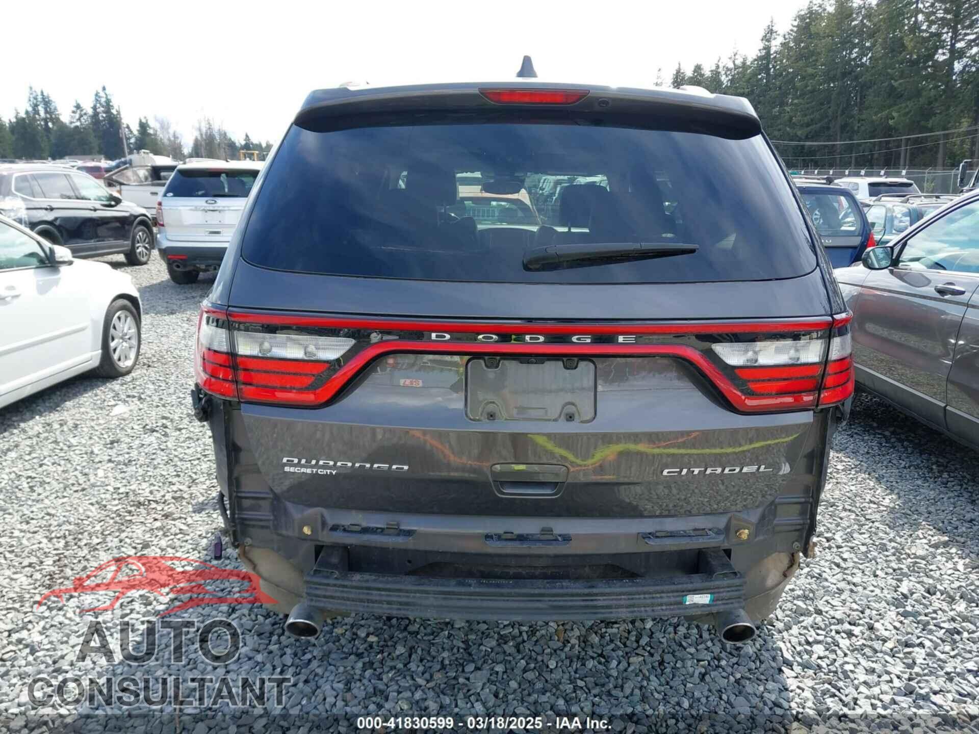 DODGE DURANGO 2019 - 1C4RDJEGXKC745539