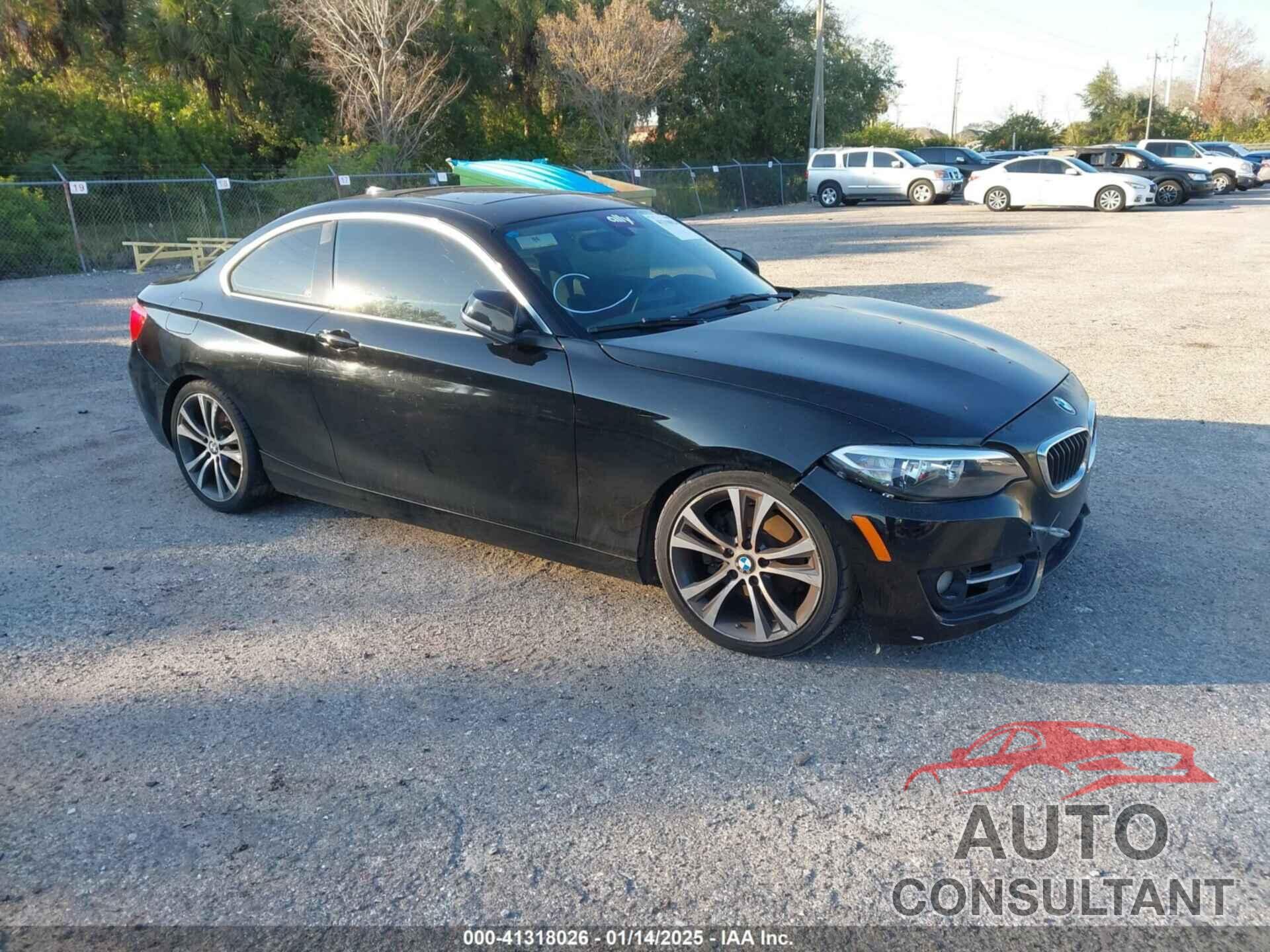 BMW 228I 2015 - WBA1F5C58FV257021