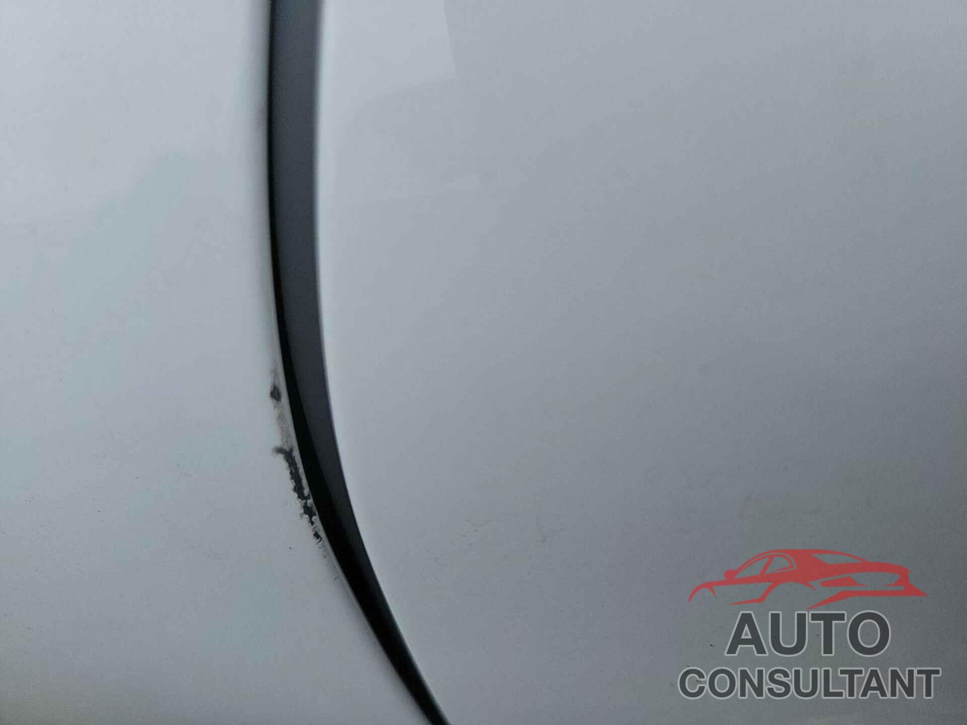 FORD ESCAPE 2021 - 1FMCU9G61MUA52487