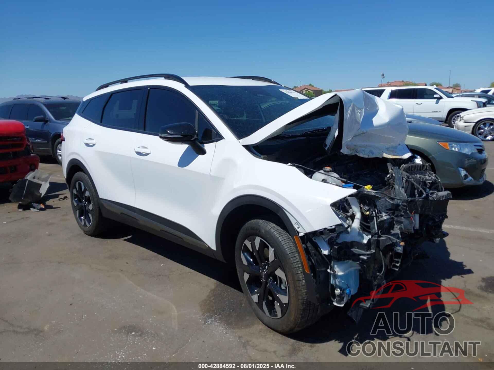 KIA SPORTAGE 2024 - 5XYK6CDF0RG212489