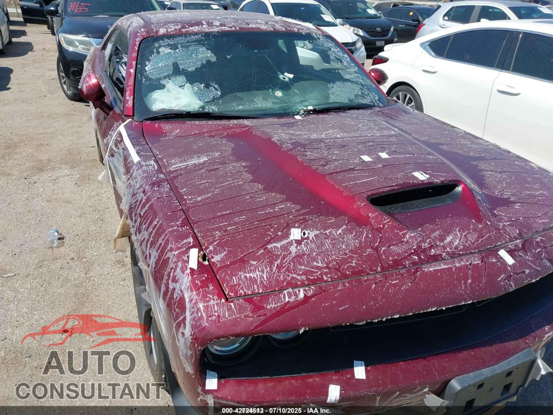 DODGE CHALLENGER 2019 - 2C3CDZBT0KH621237