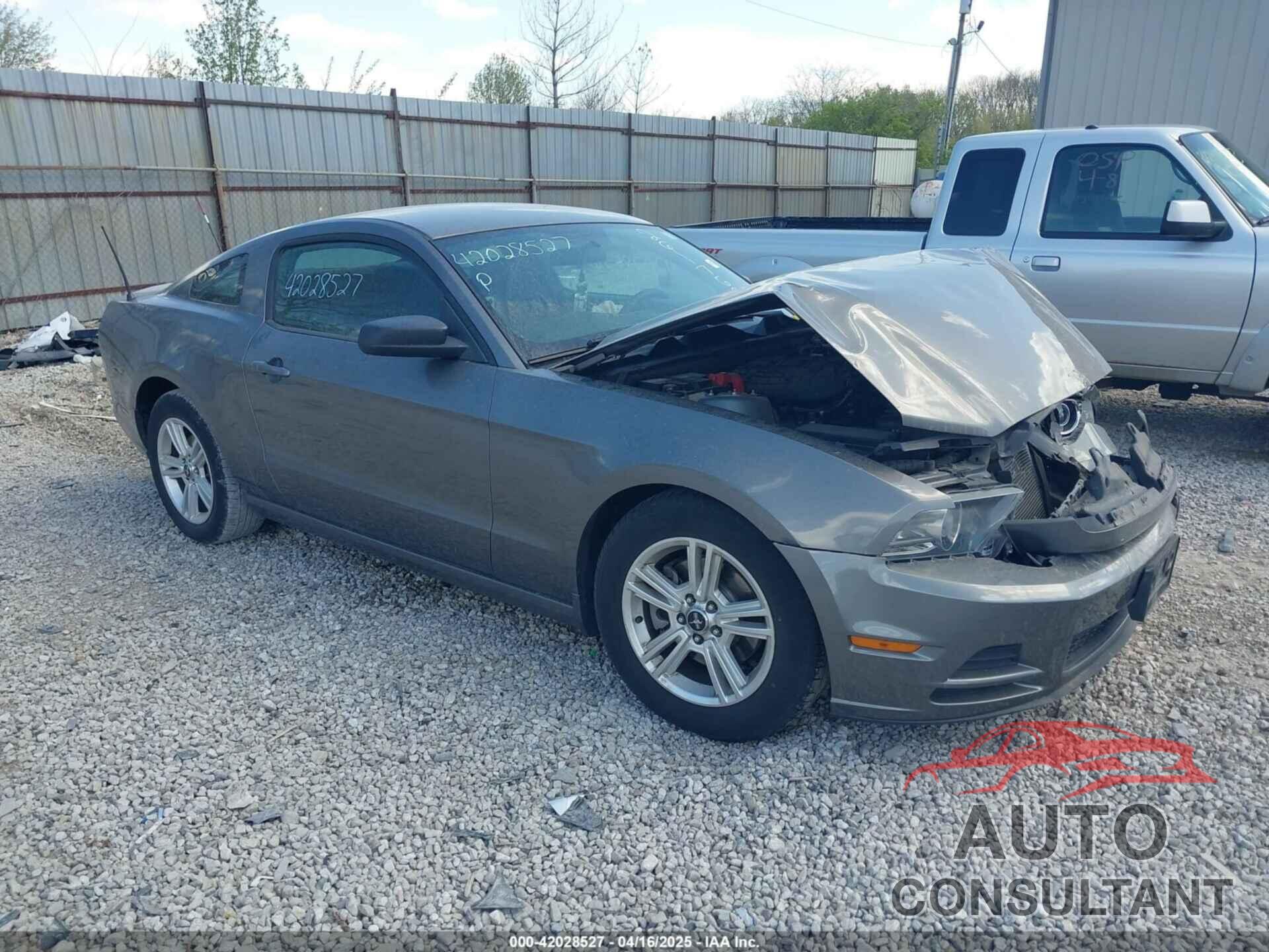 FORD MUSTANG 2013 - 1ZVBP8AM1D5261762
