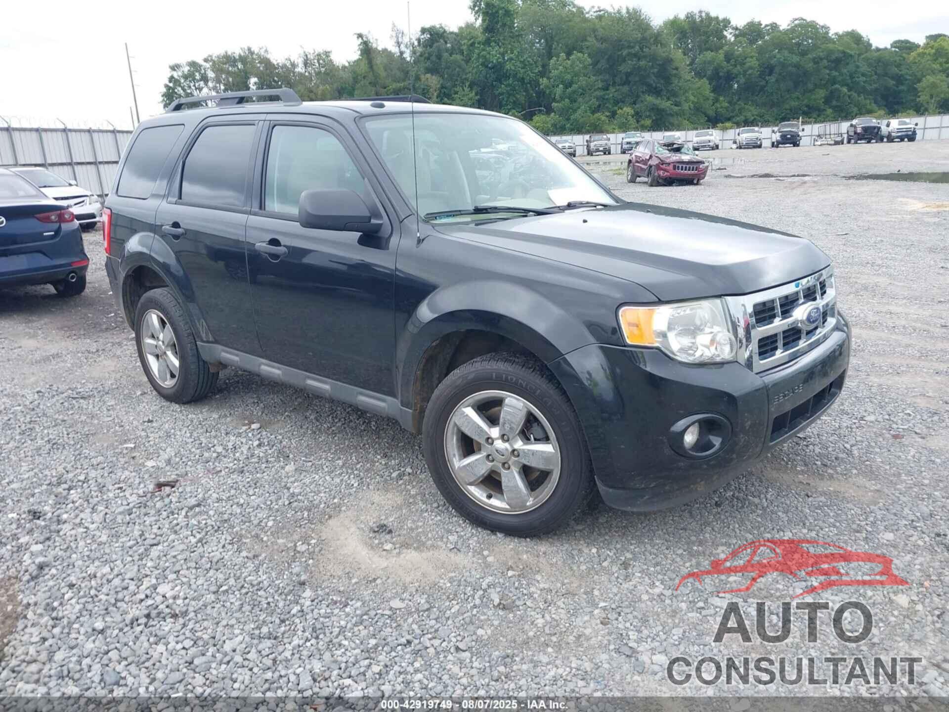 FORD ESCAPE 2011 - 1FMCU0D76BKB95212