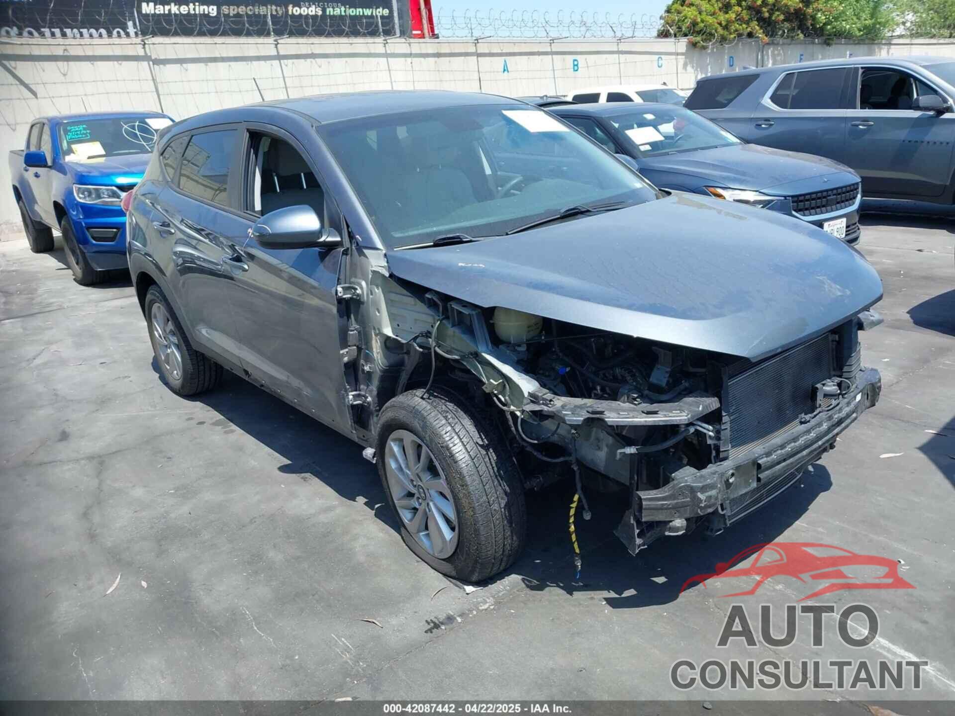 HYUNDAI TUCSON 2017 - KM8J23A49HU485417