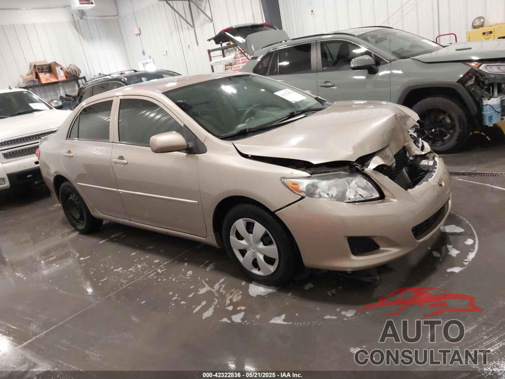 TOYOTA COROLLA 2010 - 2T1BU4EE6AC461073