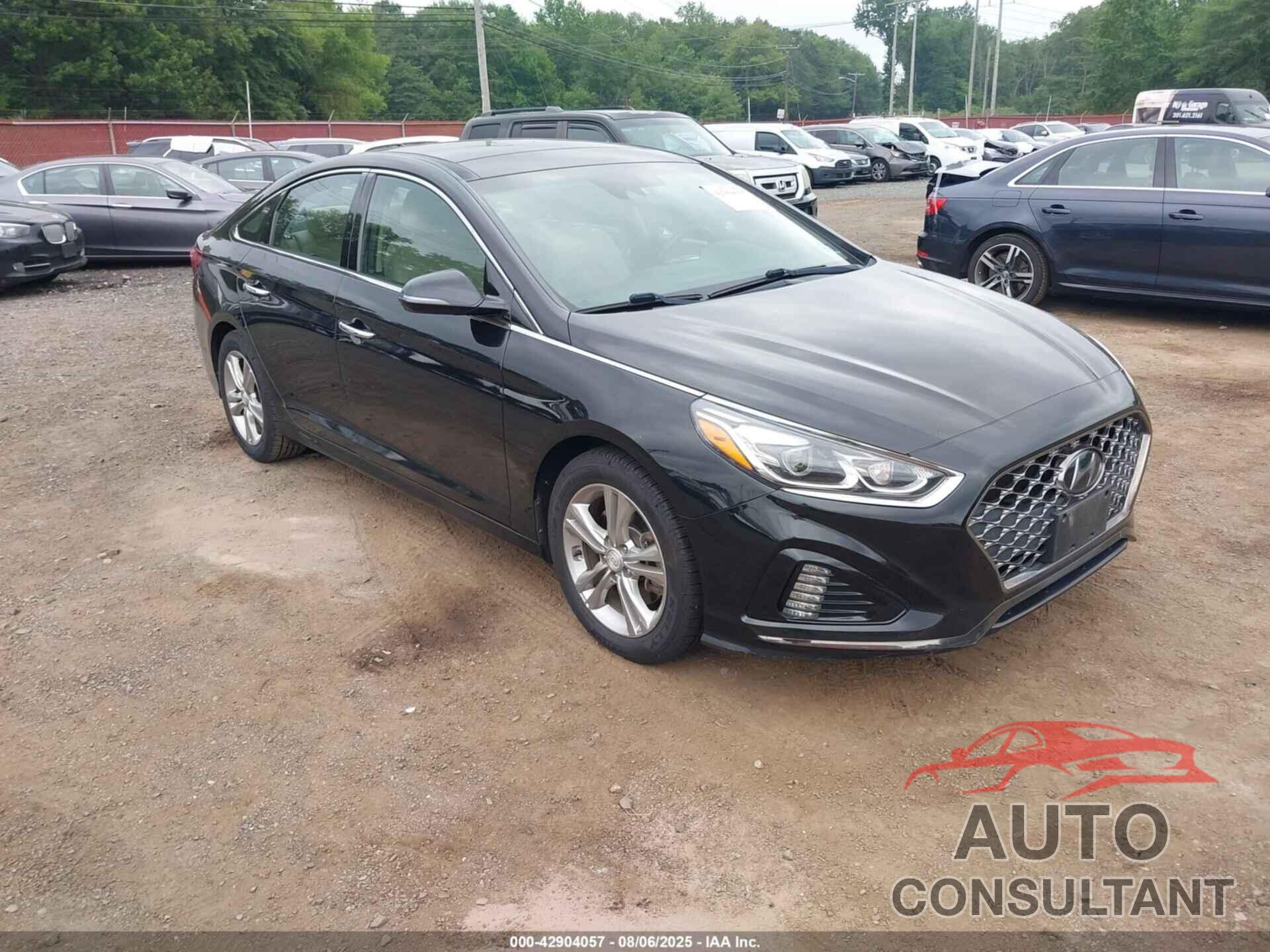 HYUNDAI SONATA 2019 - 5NPE34AF1KH729010