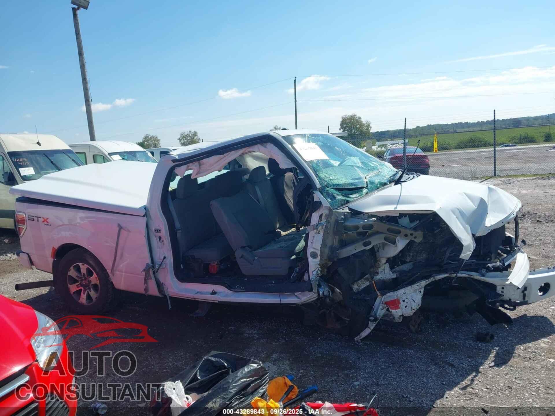 FORD F-150 2013 - 1FTFX1EF3DFD61461