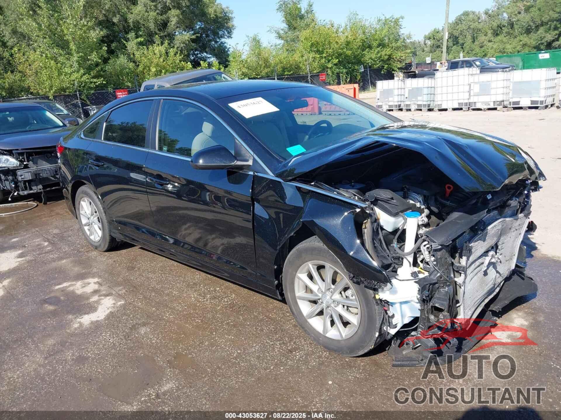 HYUNDAI SONATA 2018 - 5NPE24AF7JH645565