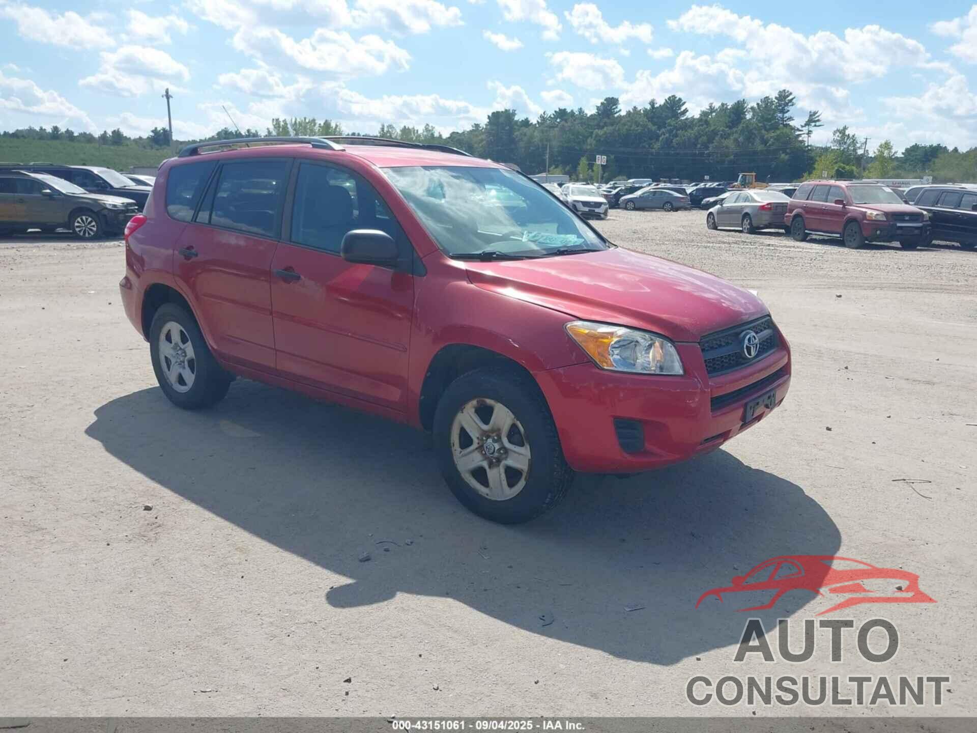 TOYOTA RAV4 2011 - 2T3BF4DV5BW116460