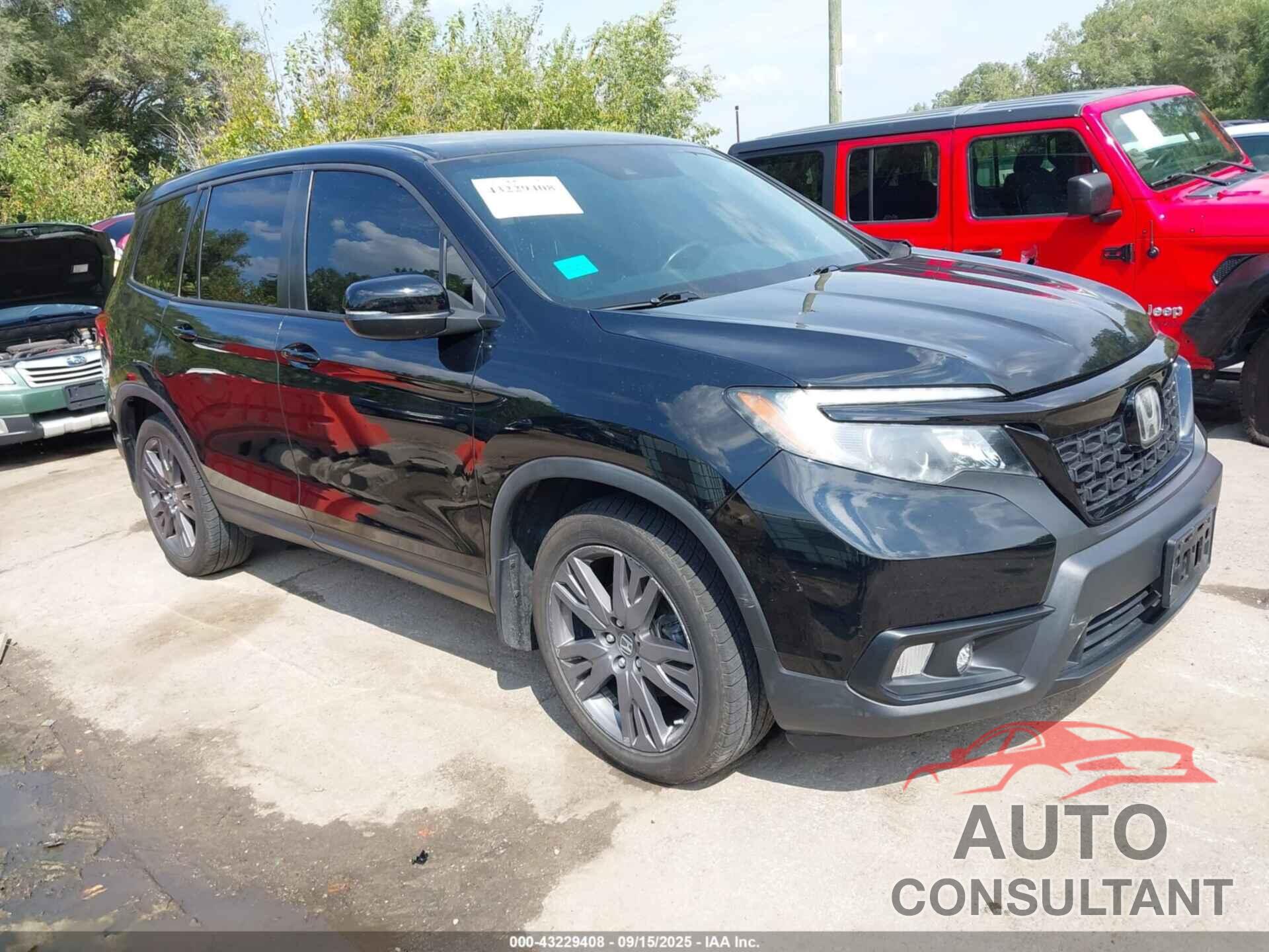 HONDA PASSPORT 2019 - 5FNYF7H52KB011936