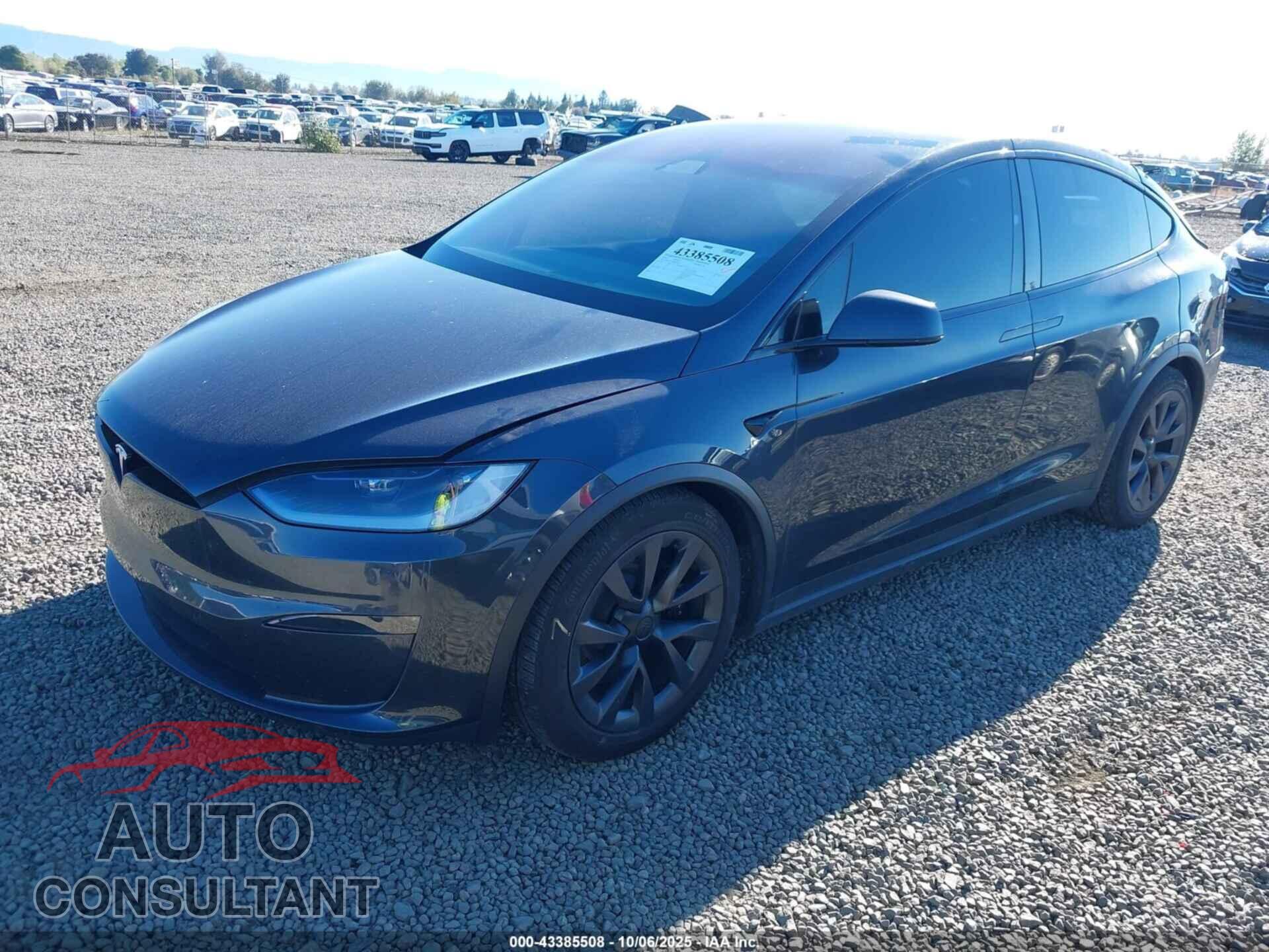 TESLA MODEL X 2024 - 7SAXCBE57RF436447
