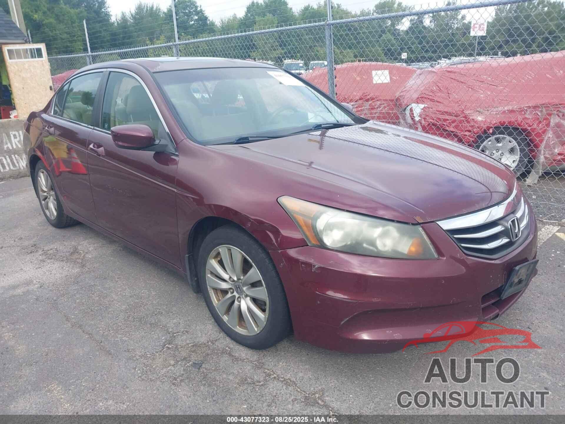 HONDA ACCORD 2011 - 1HGCP2F75BA048486