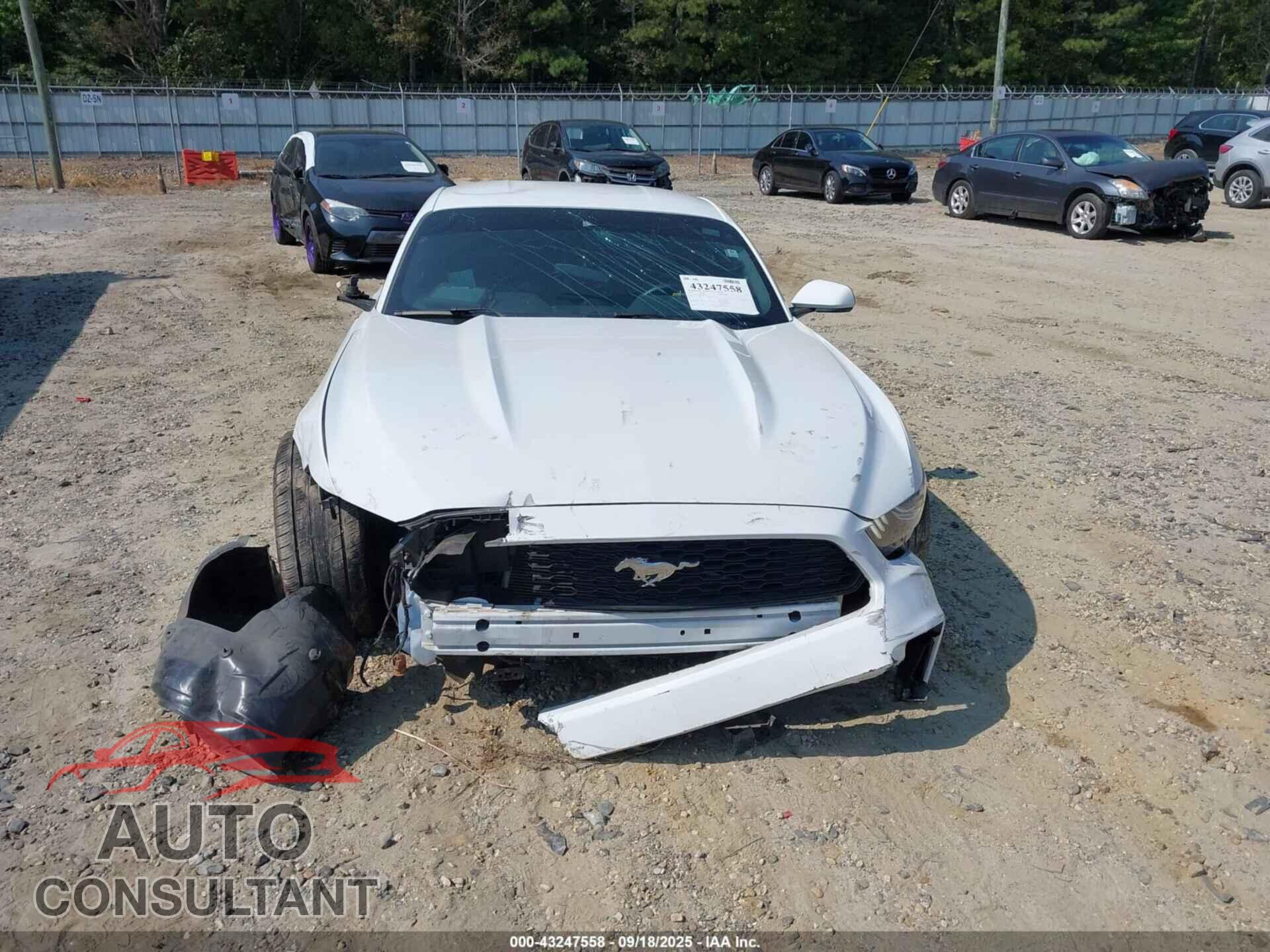FORD MUSTANG 2016 - 1FA6P8AM7G5241160