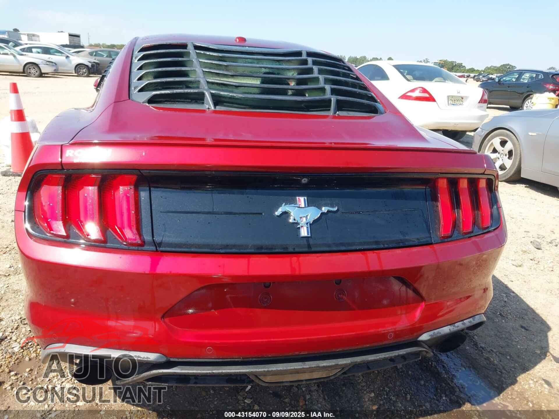 FORD MUSTANG 2019 - 1FA6P8TH2K5116639
