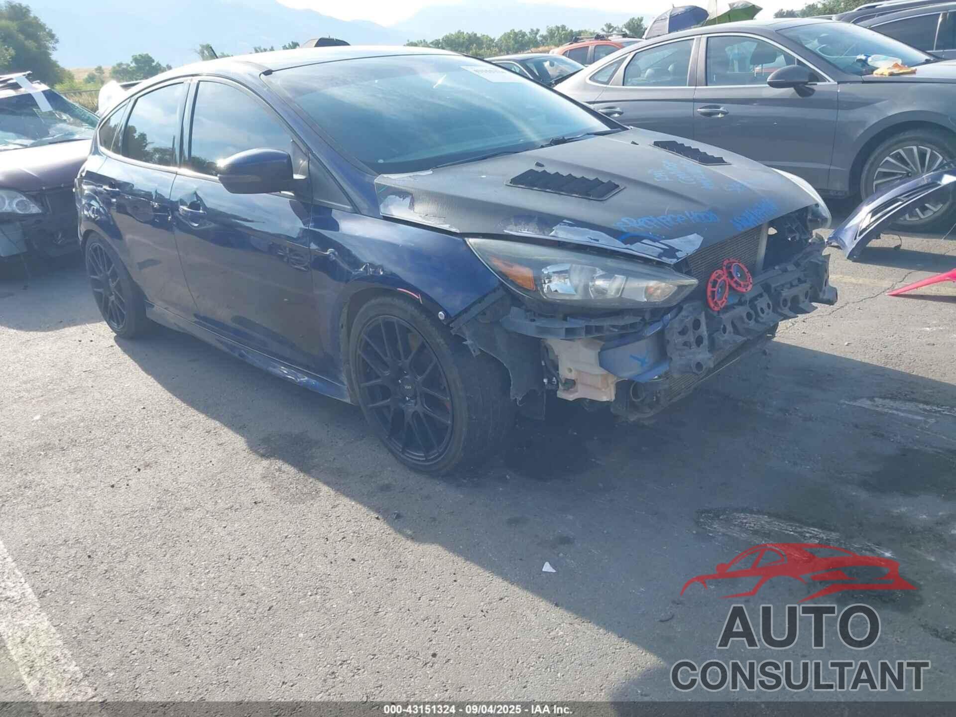FORD FOCUS 2016 - 1FADP3L94GL363358