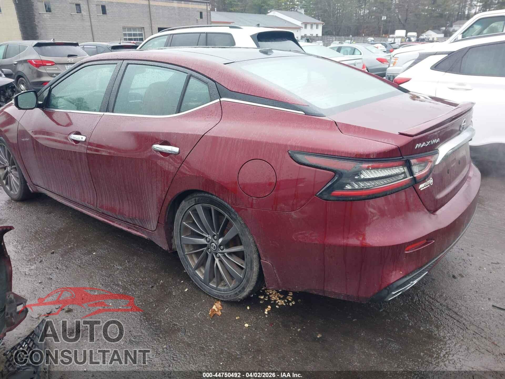 NISSAN MAXIMA 2019 - 1N4AA6AV4KC363486
