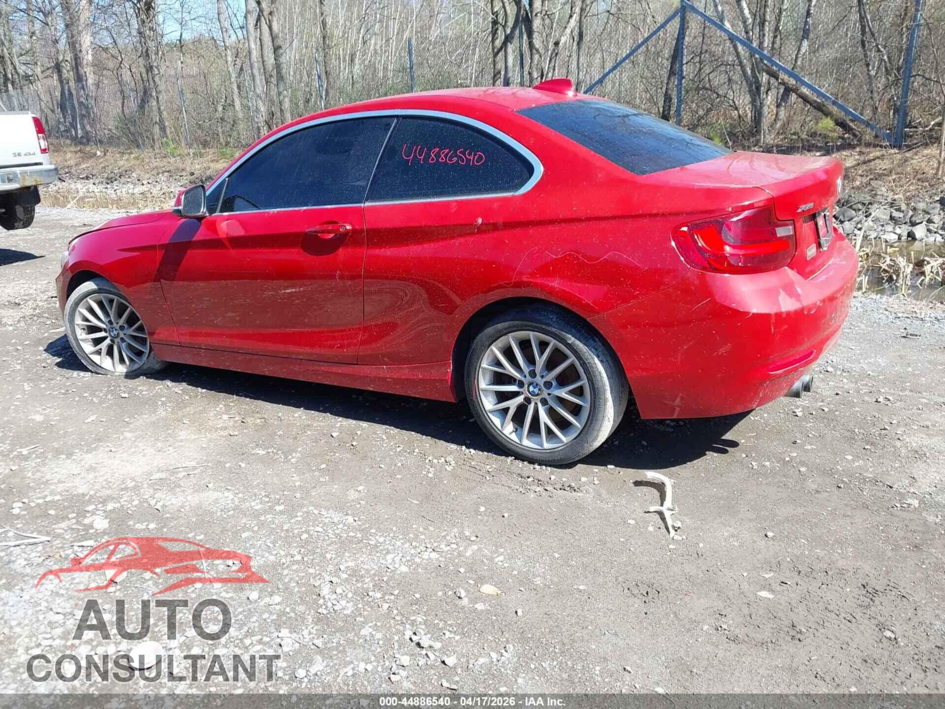BMW 228I 2015 - WBA1F7C52FVX95998