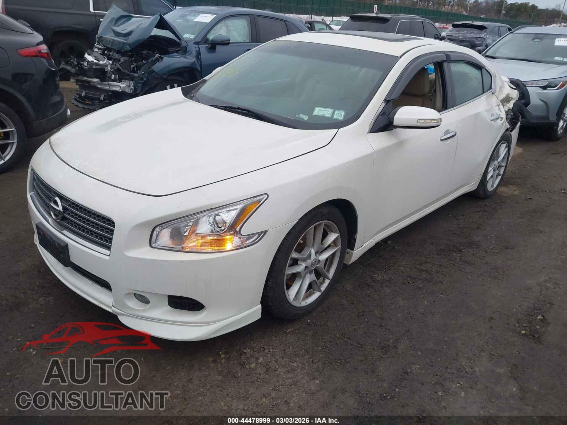 NISSAN MAXIMA 2009 - 1N4AA51E79C859192