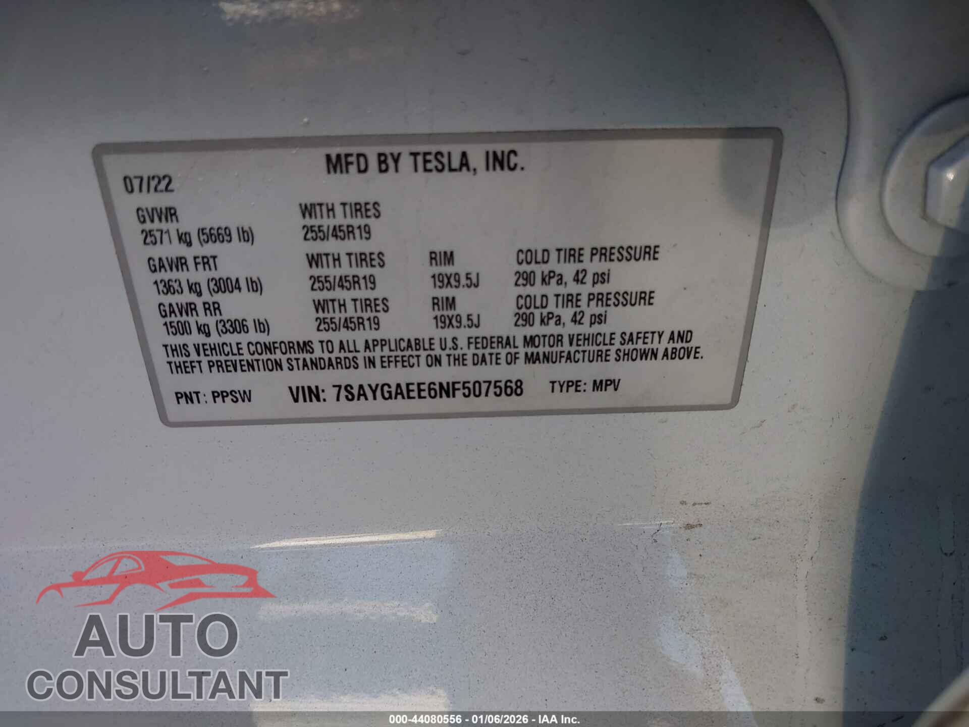 TESLA MODEL Y 2022 - 7SAYGAEE6NF507568